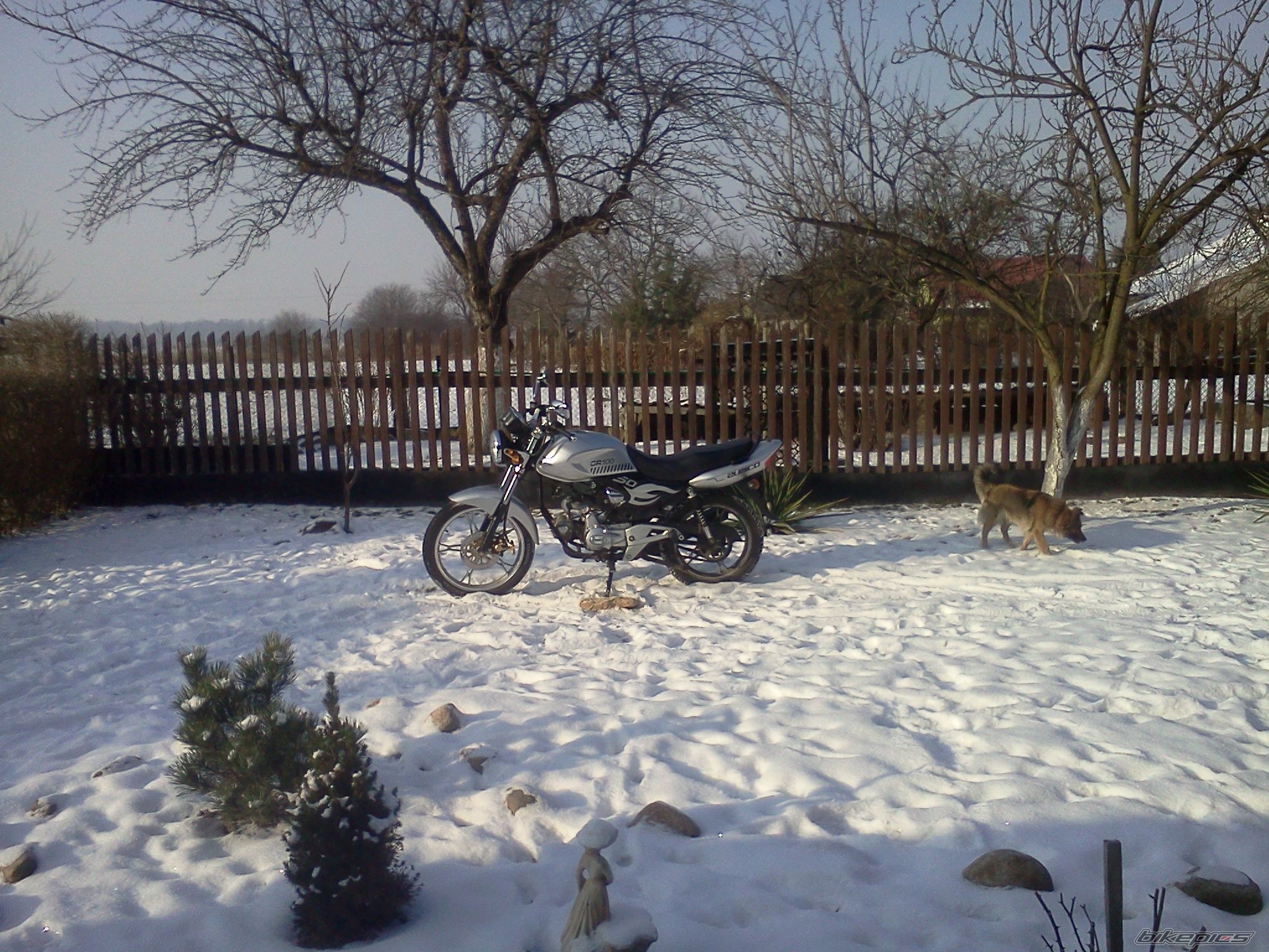 Bike Photo 2370796