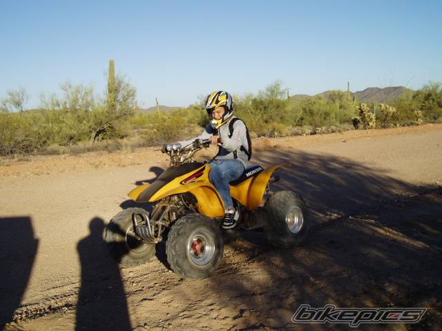 Photo 237080