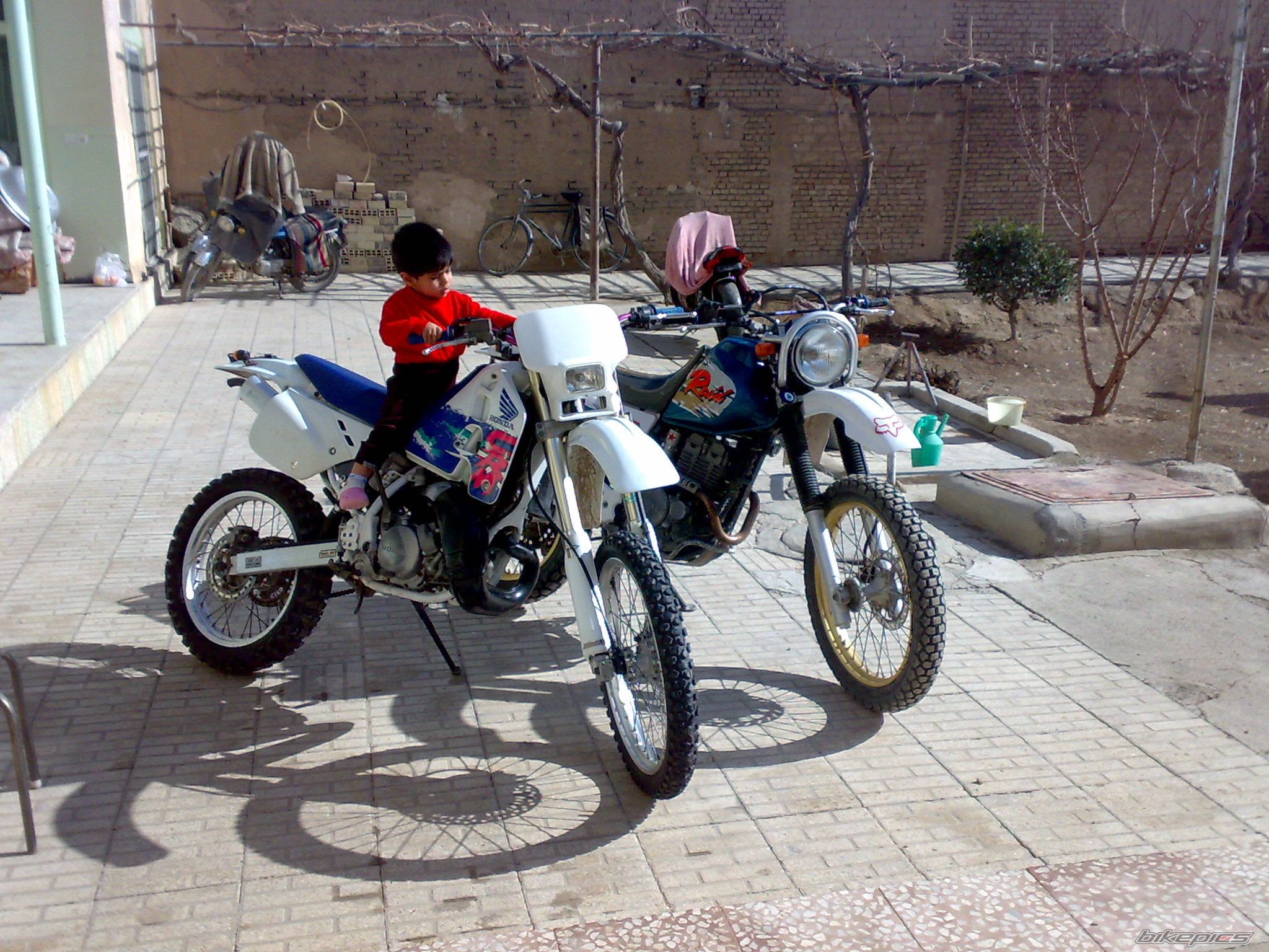 Photo 2370958
