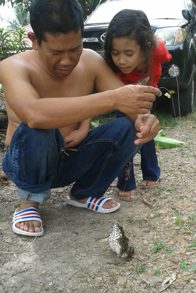Photo 2371016