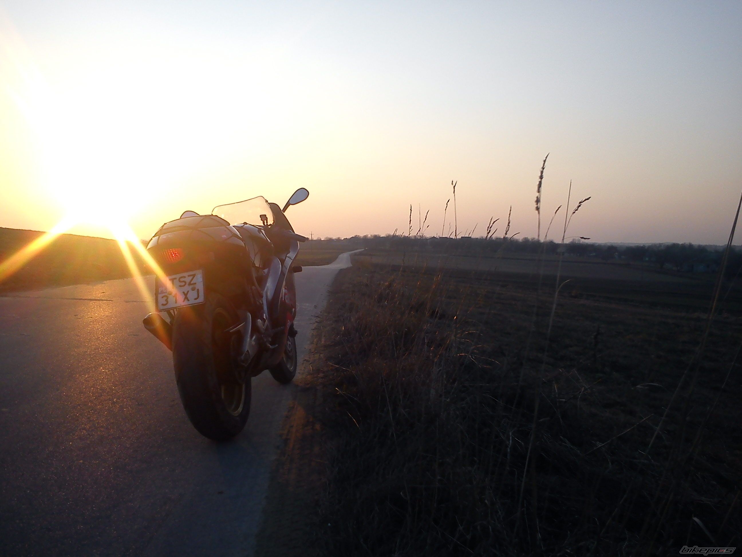 Photo 2371037