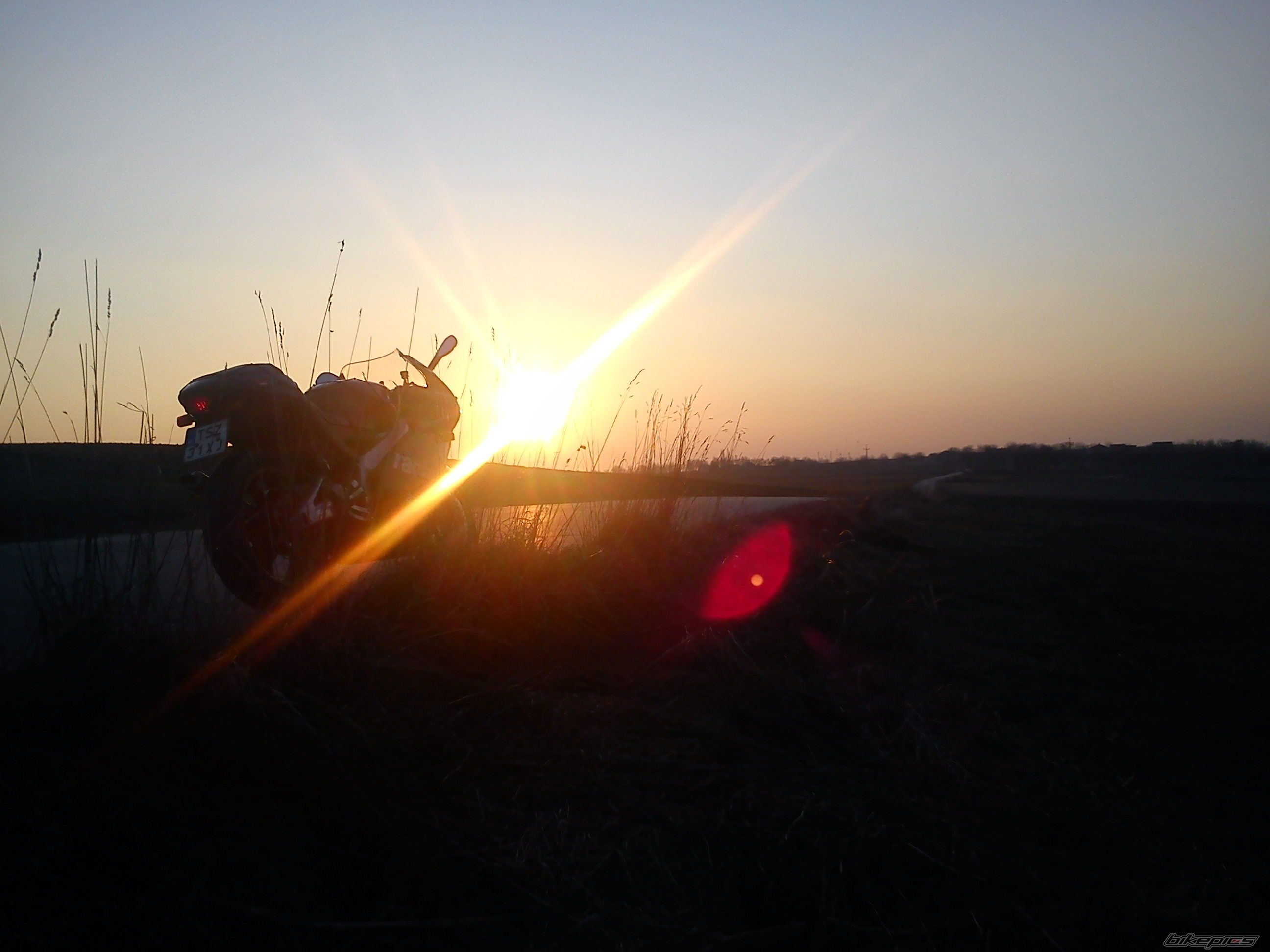 Photo 2371039