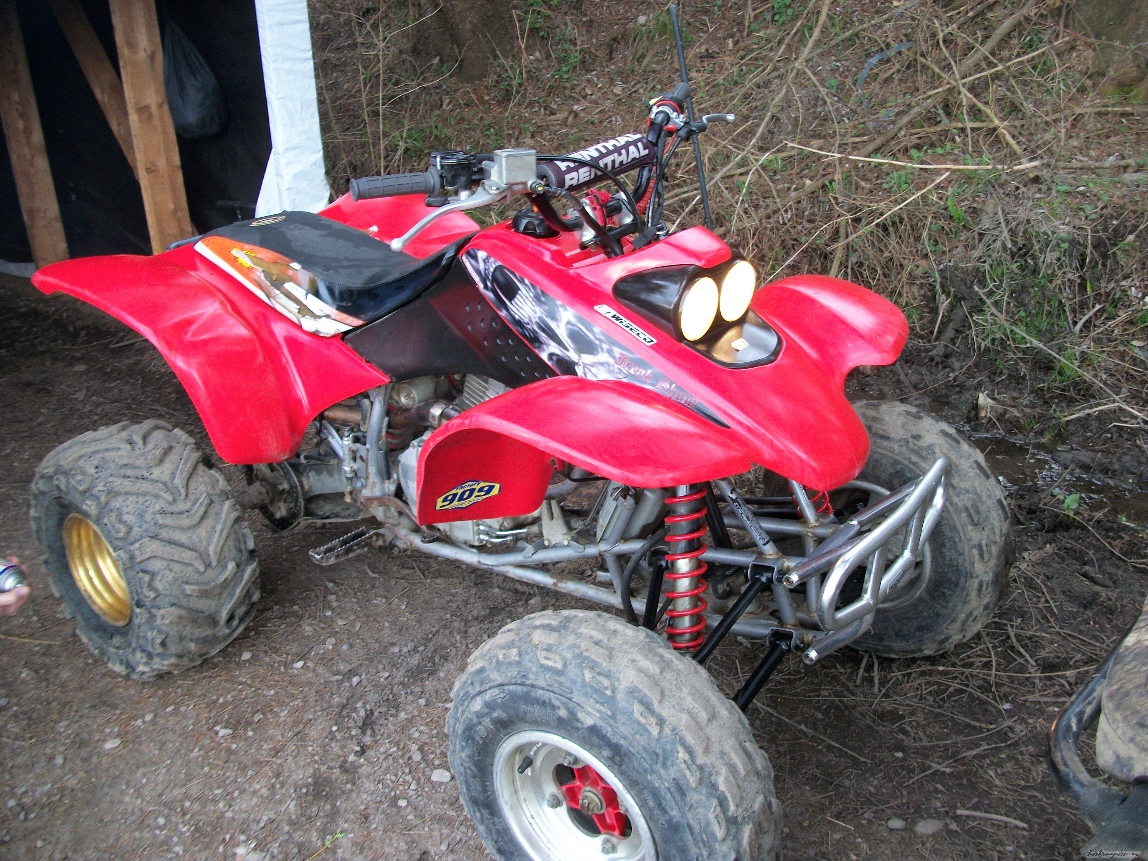 Photo 2371083