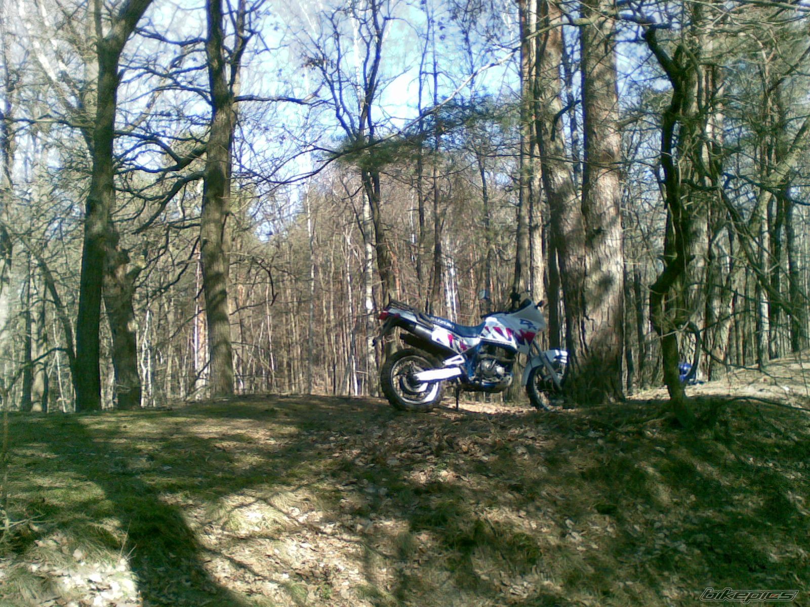 Photo 2371130
