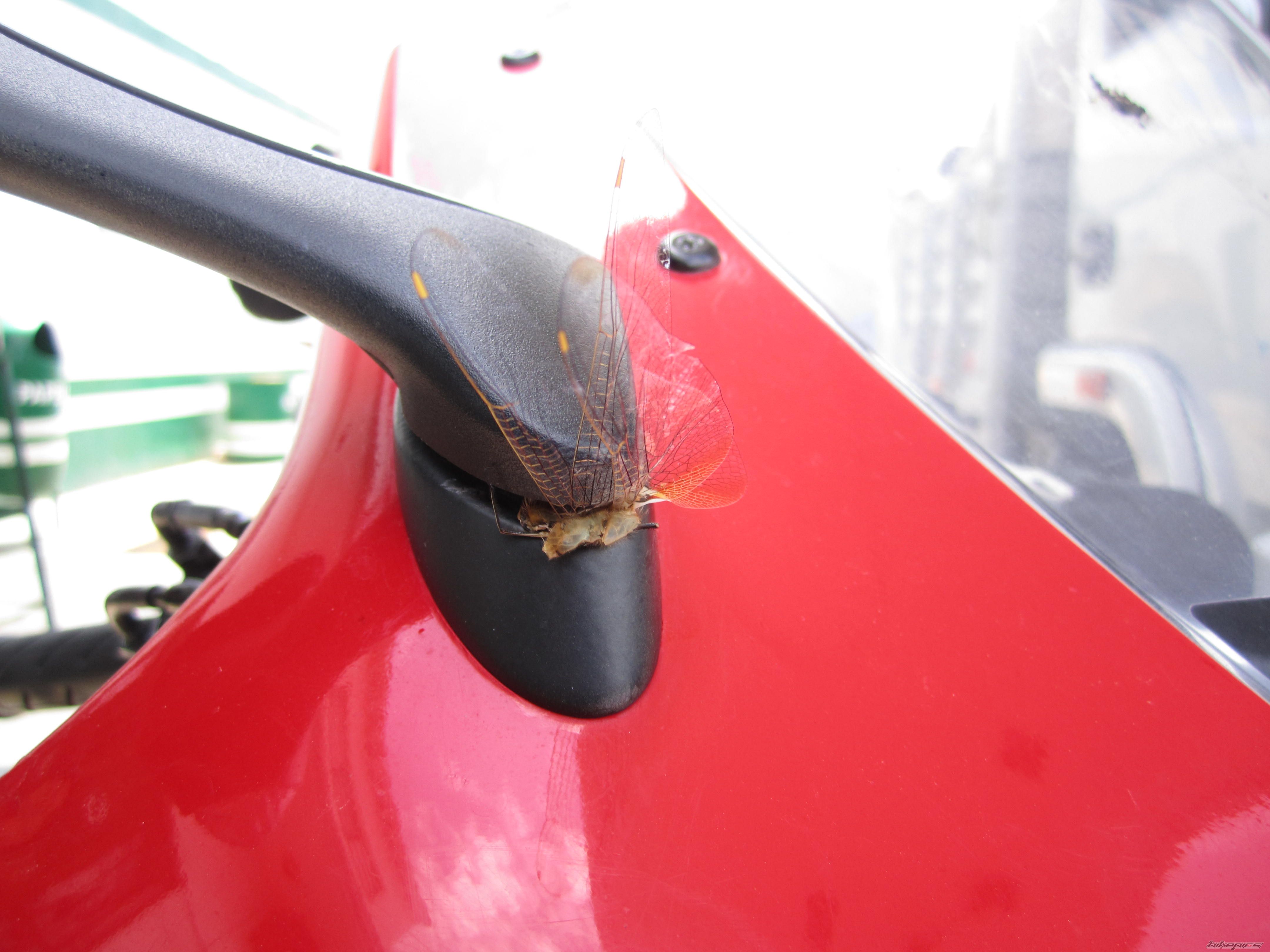 Photo 2371131