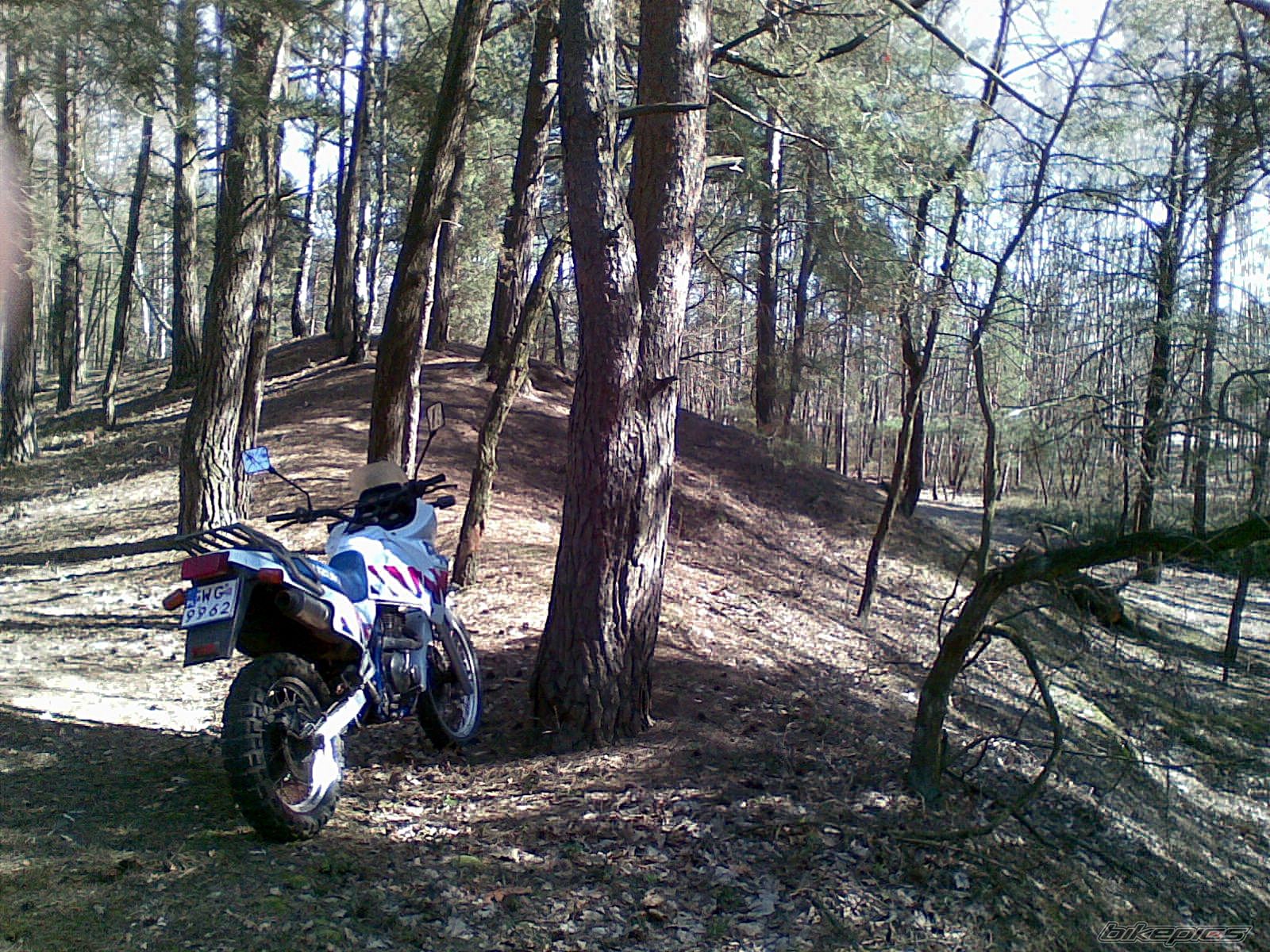 Photo 2371136