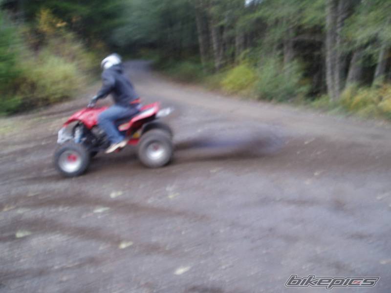 Photo 237134