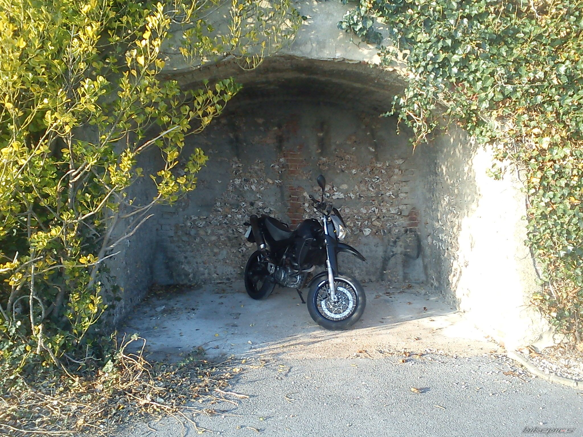 Photo 2371381