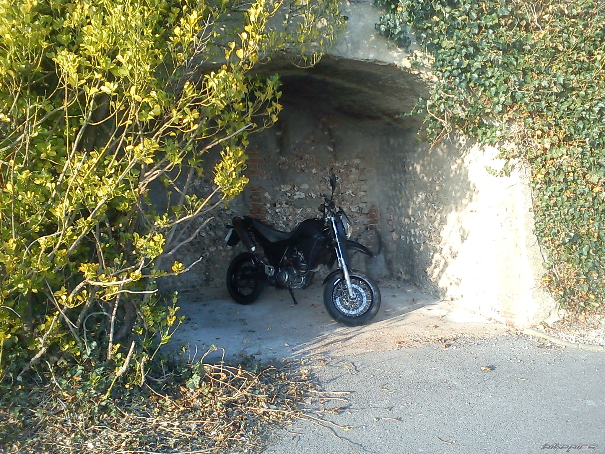 Photo 2371383