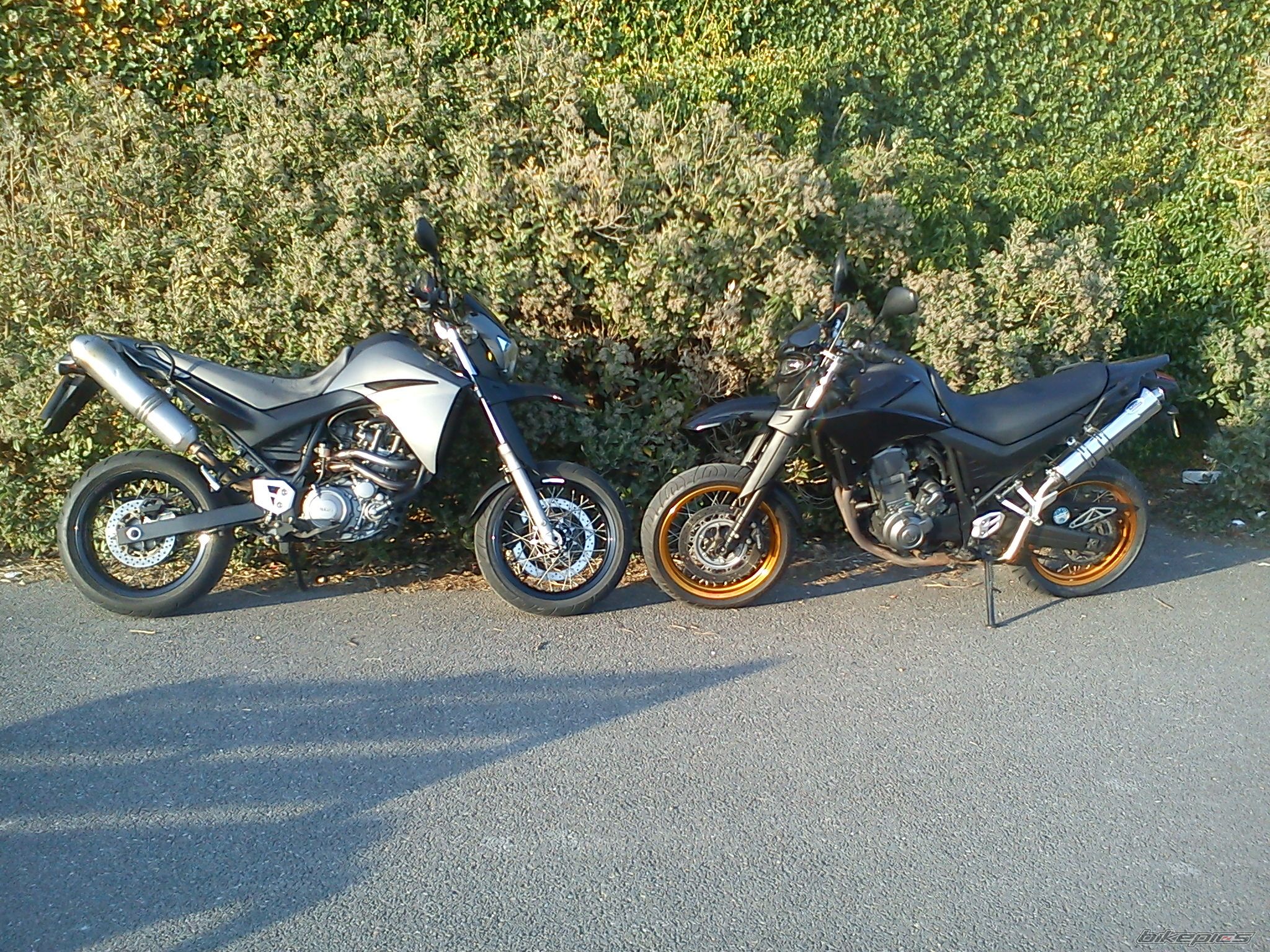 Photo 2371401