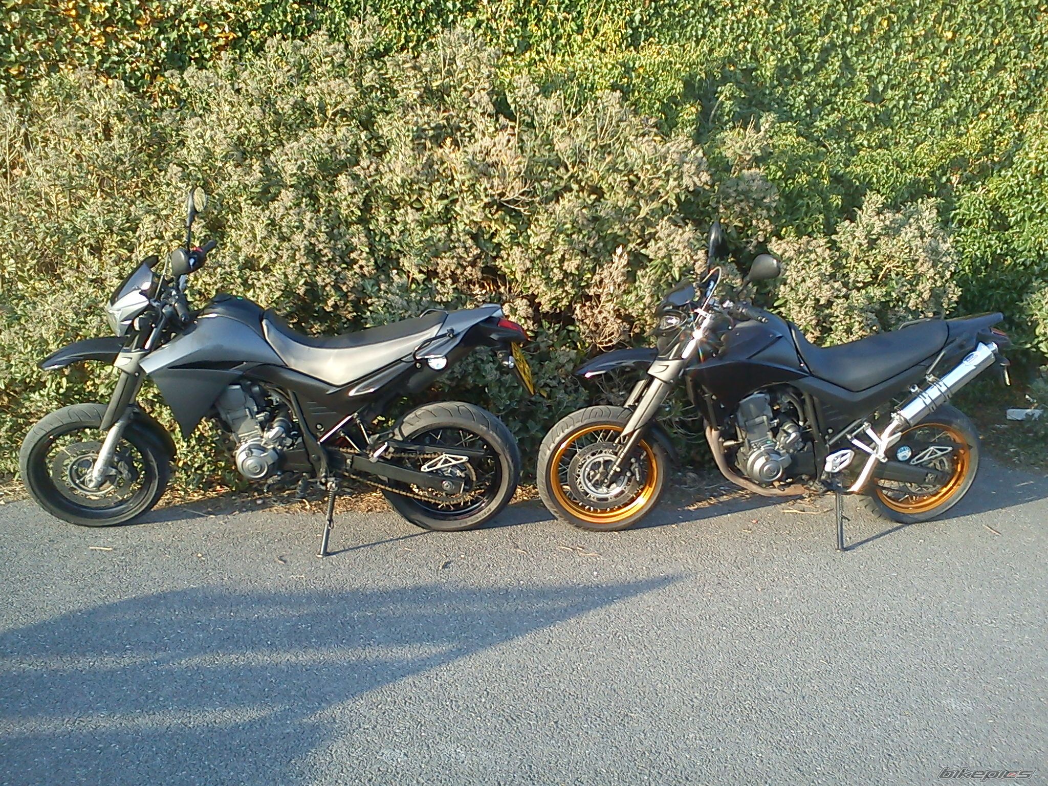 Photo 2371402