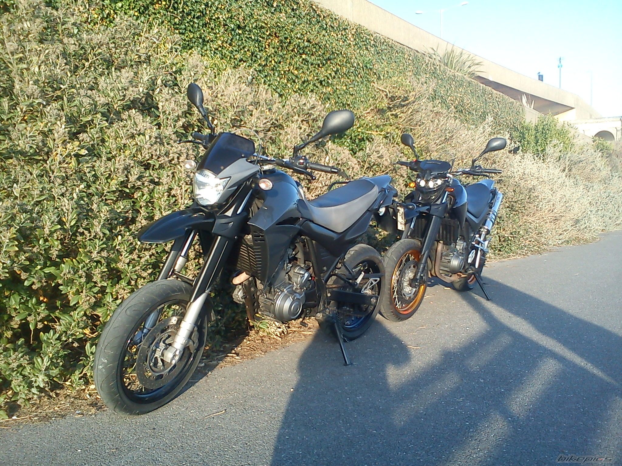 Photo 2371403
