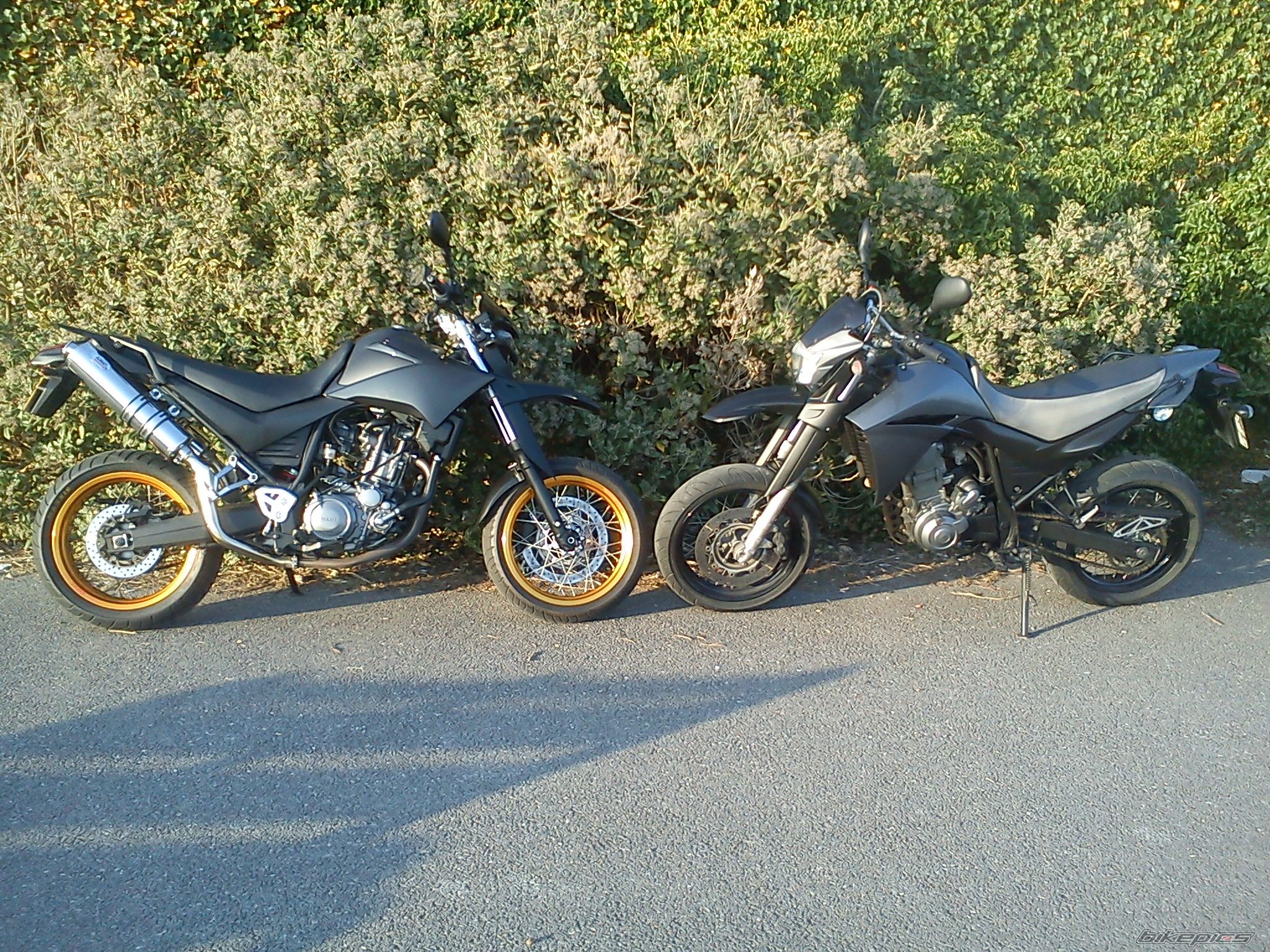 Photo 2371404
