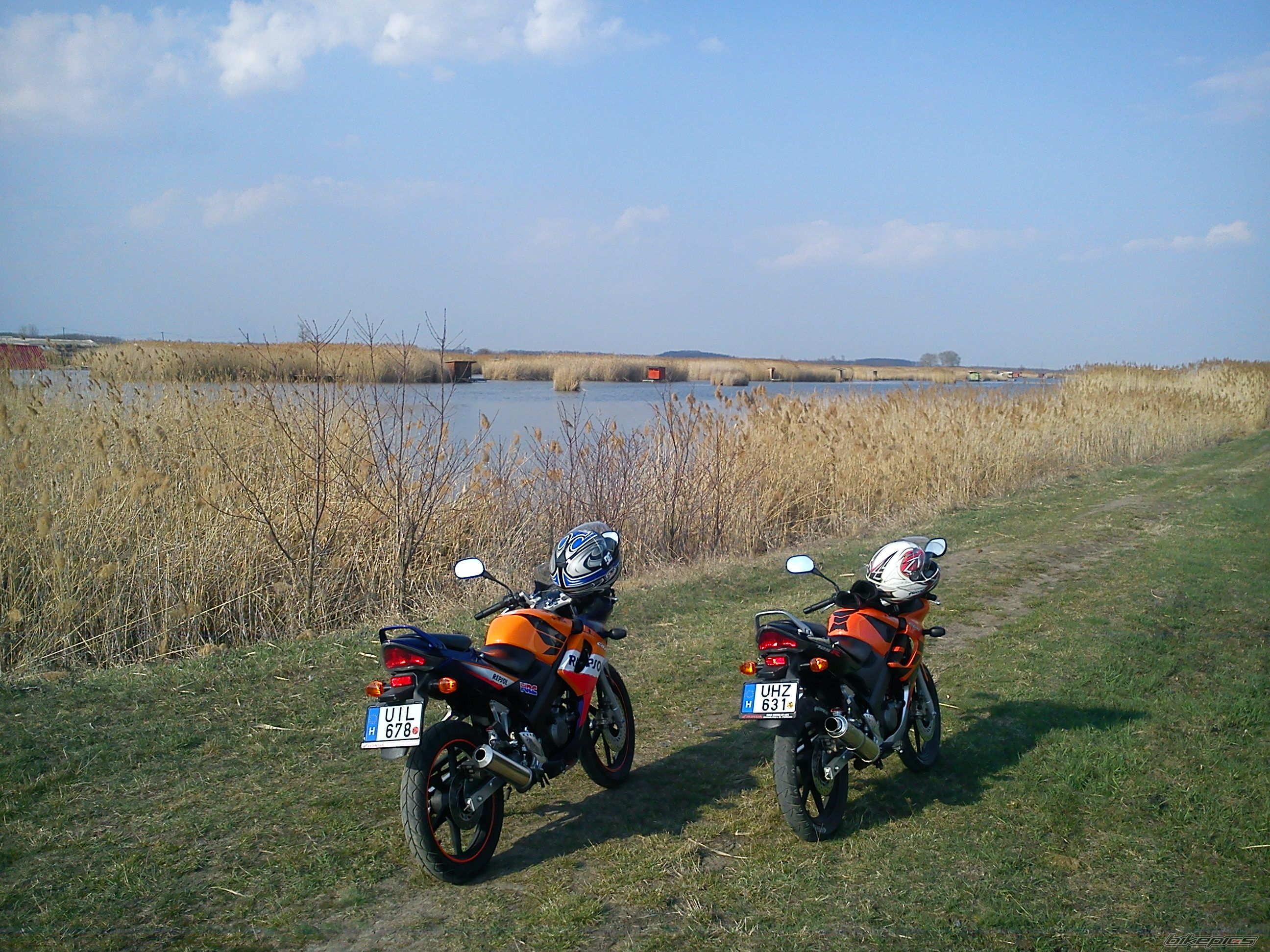 Photo 2371482