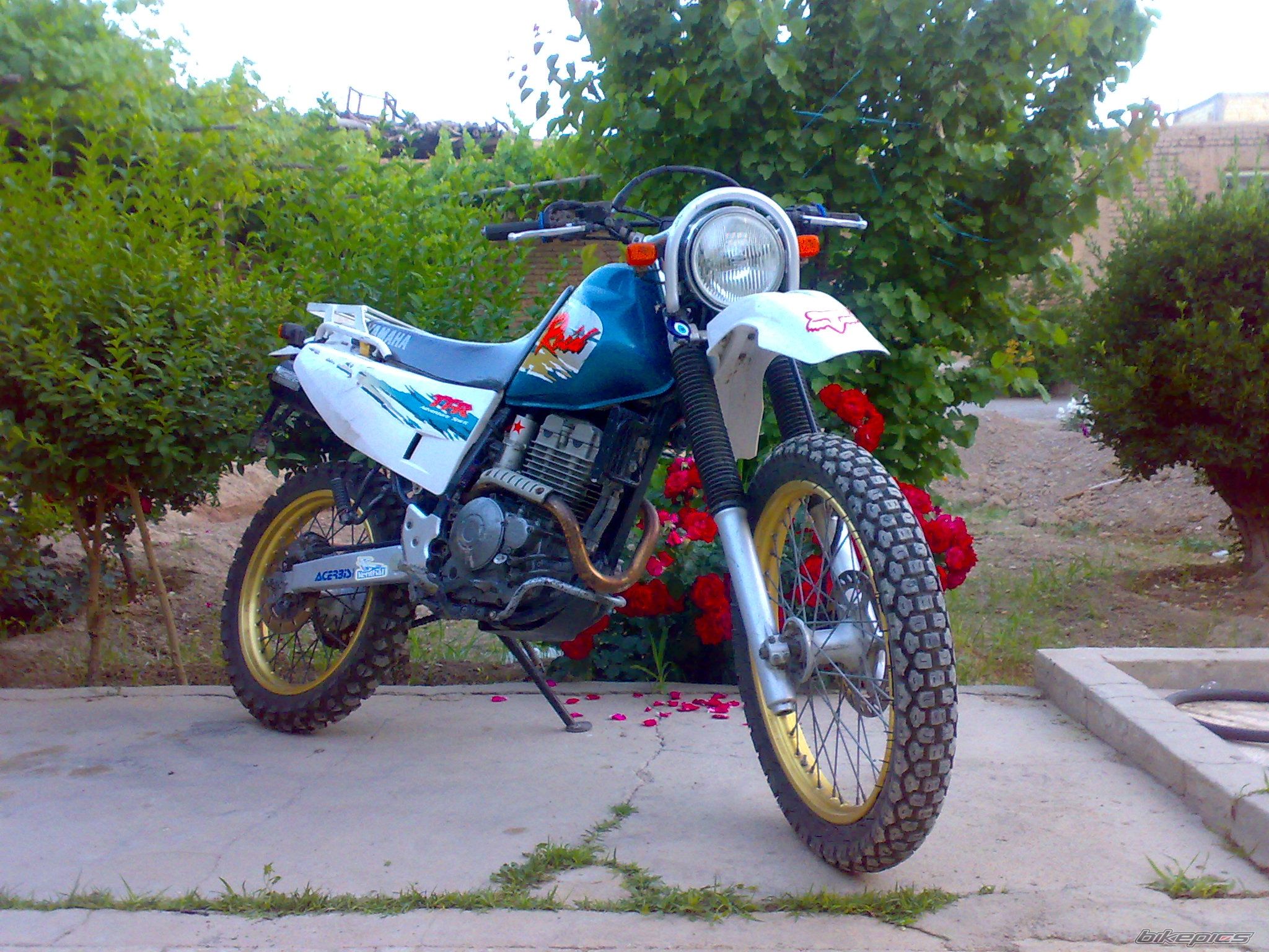 Photo 2371843