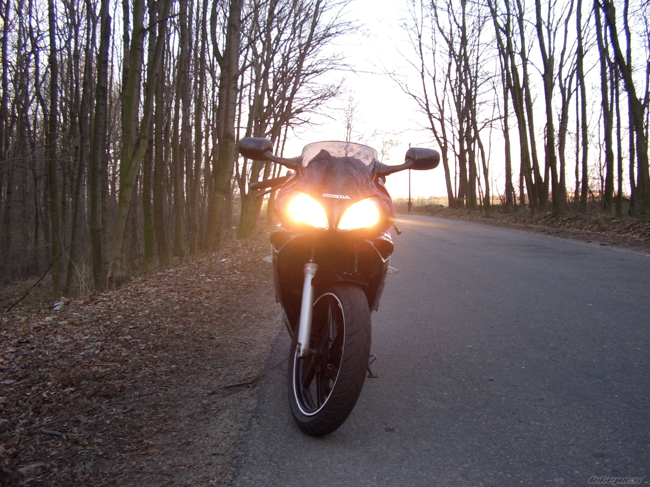Photo 2371868