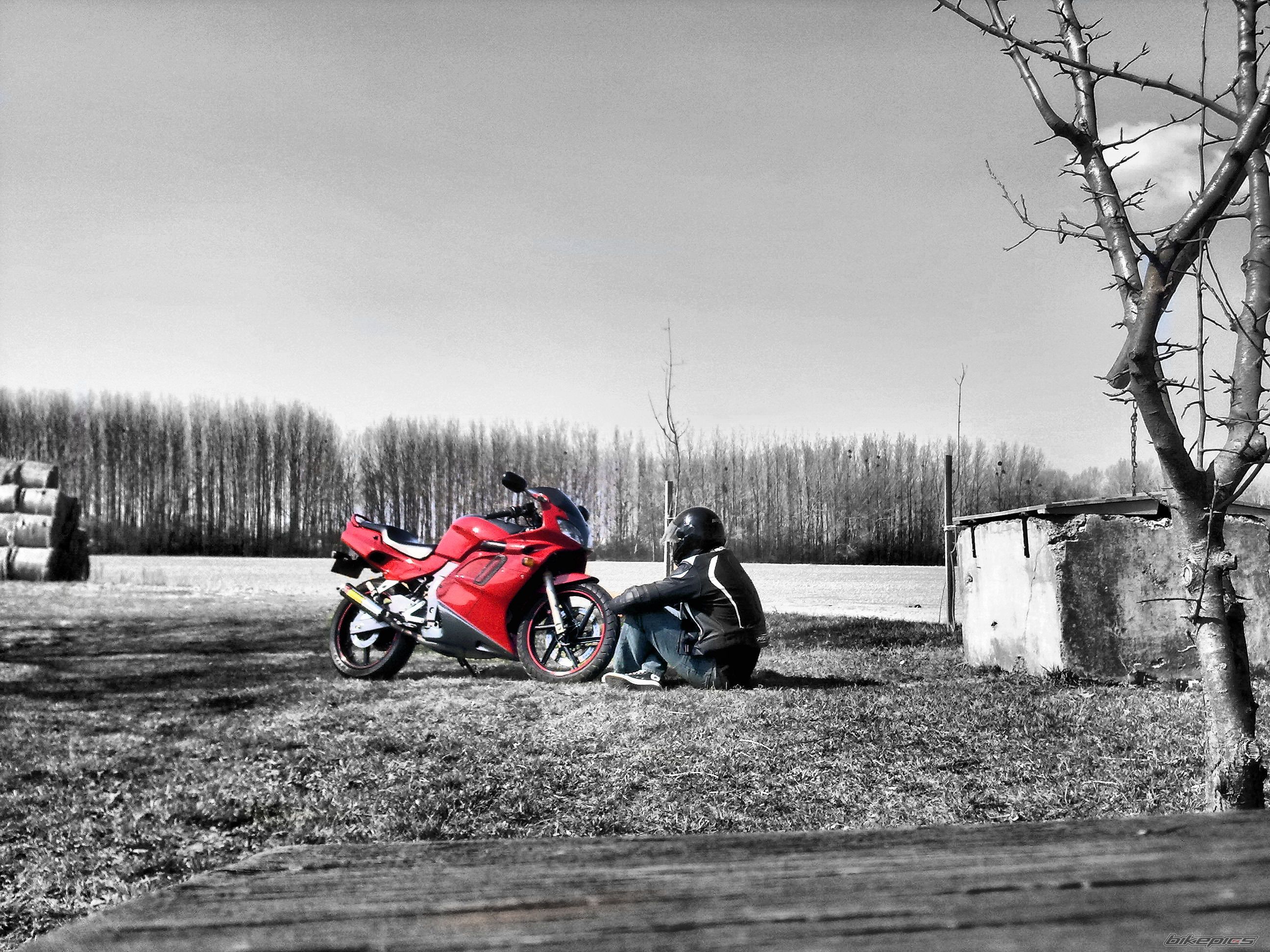 Photo 2371882
