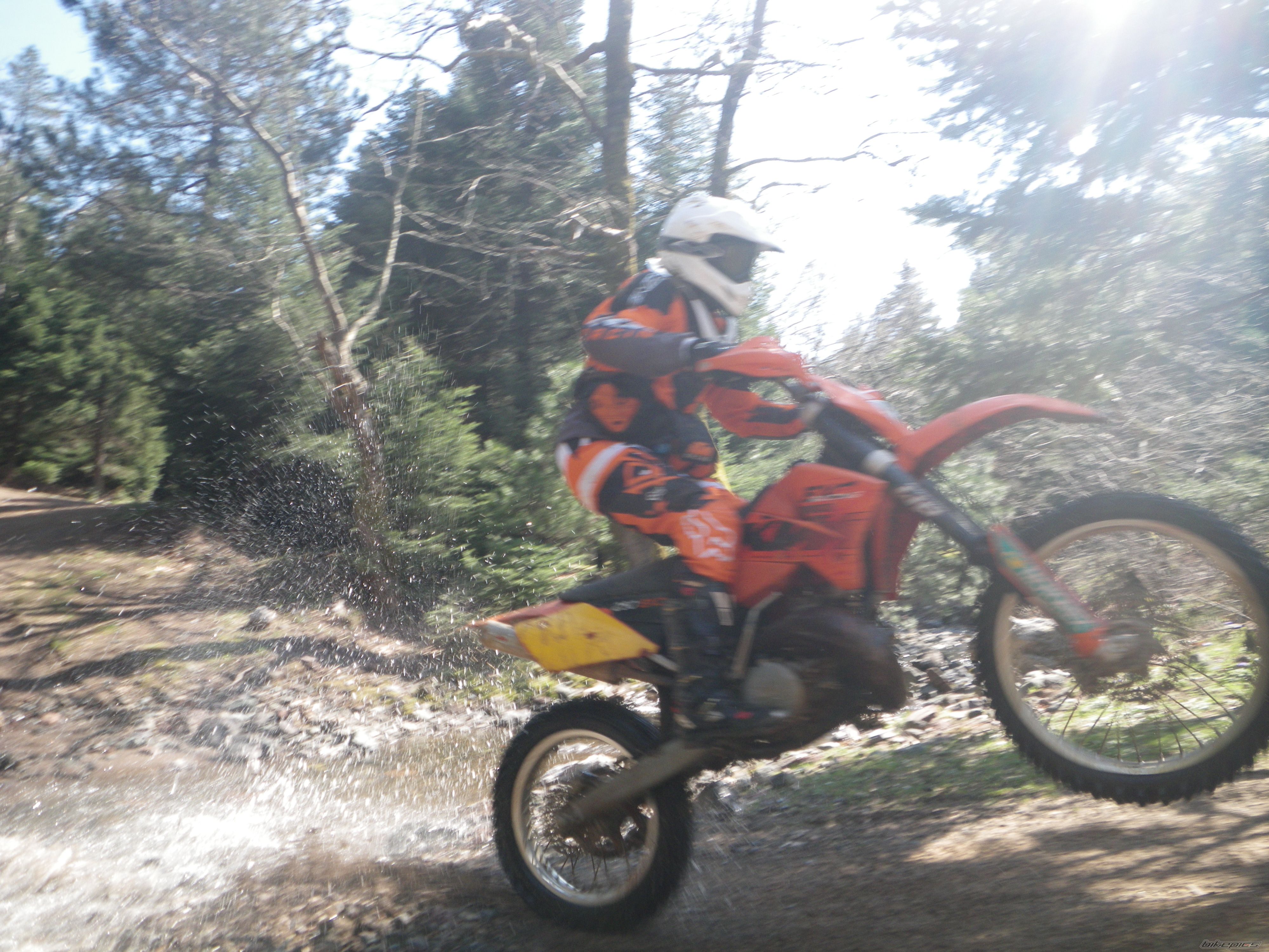 Photo 2372036