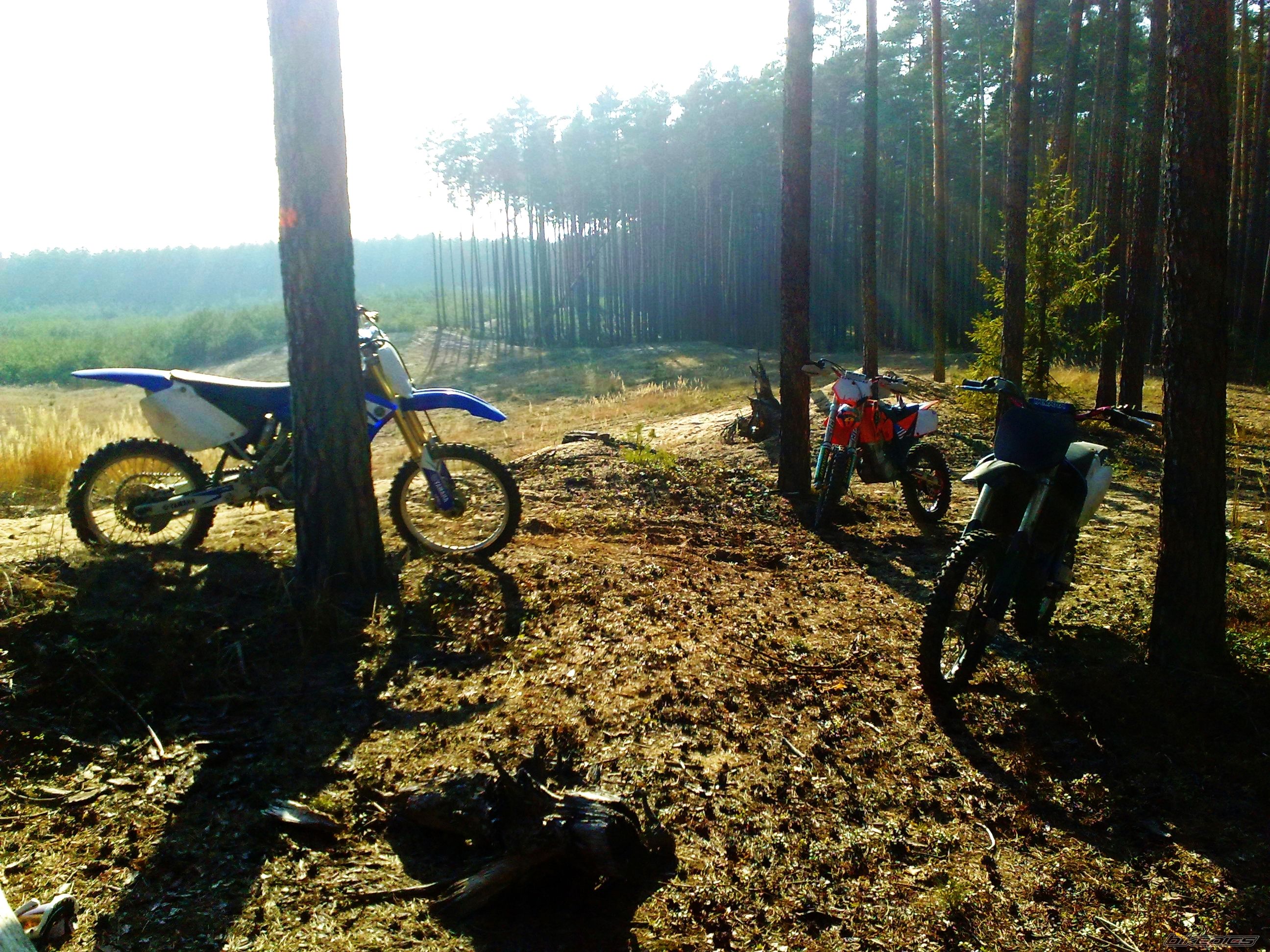 Bike Photo 2372054