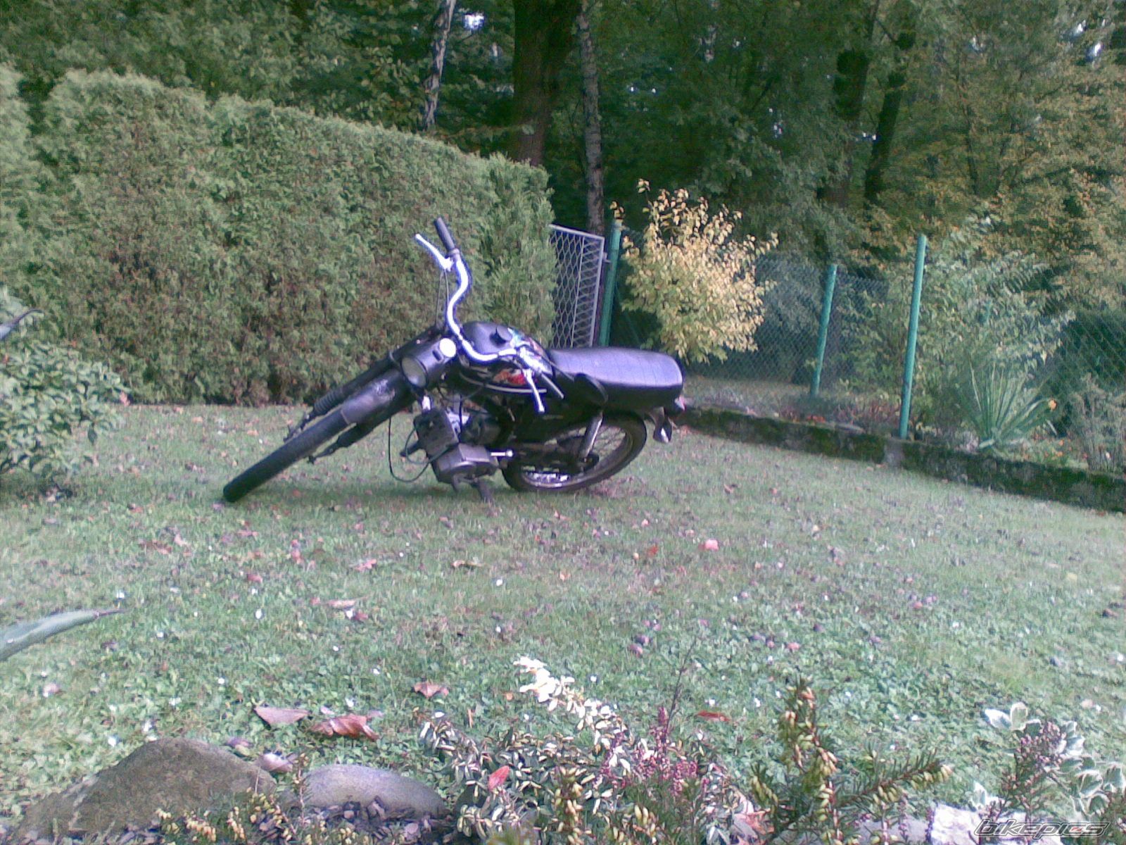 Photo 2372062