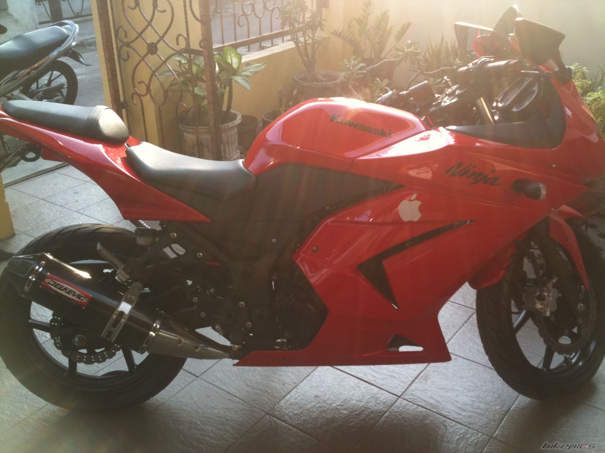 Bike Photo 2372313