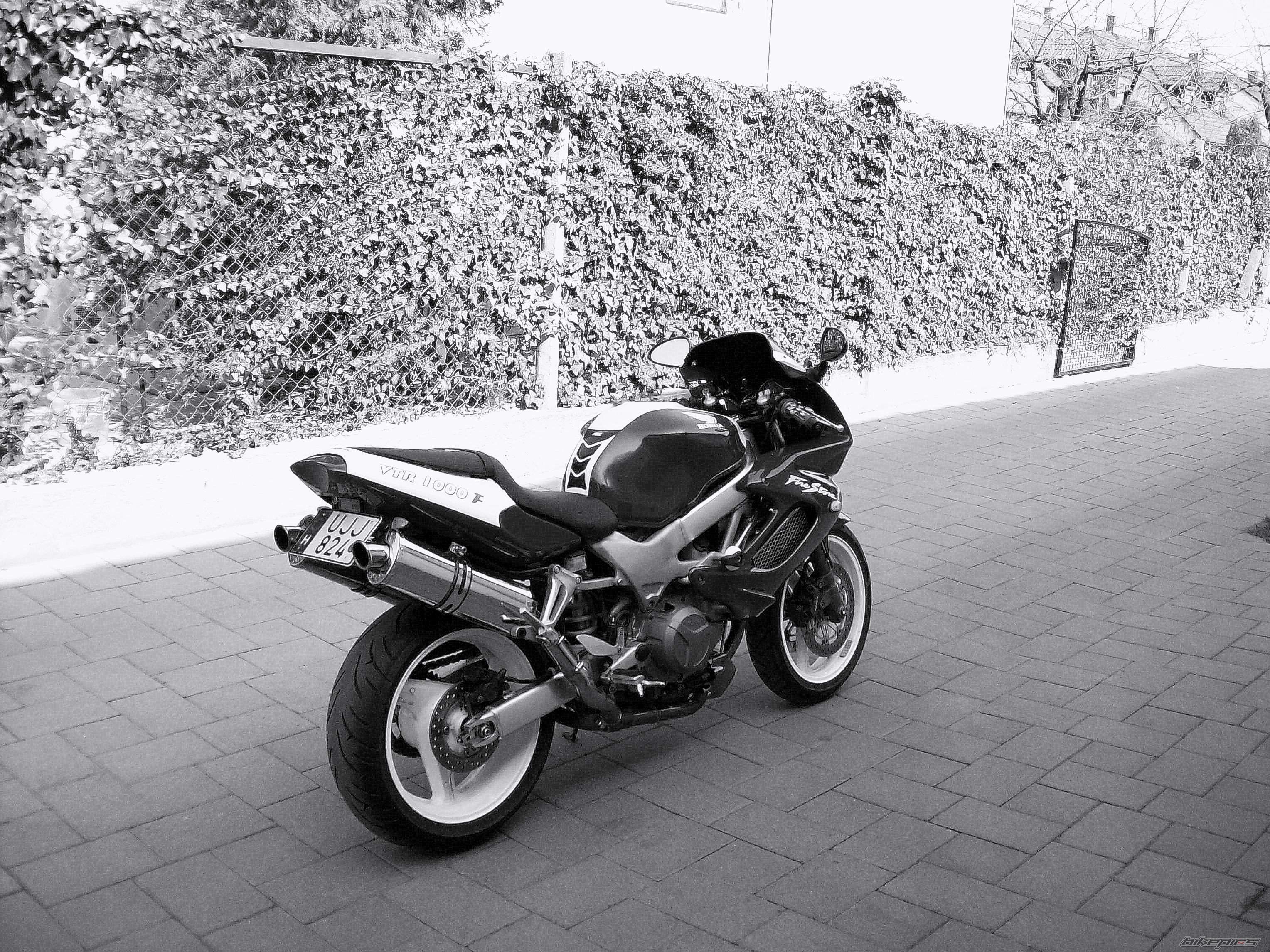 Photo 2372612