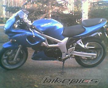 Photo 237266