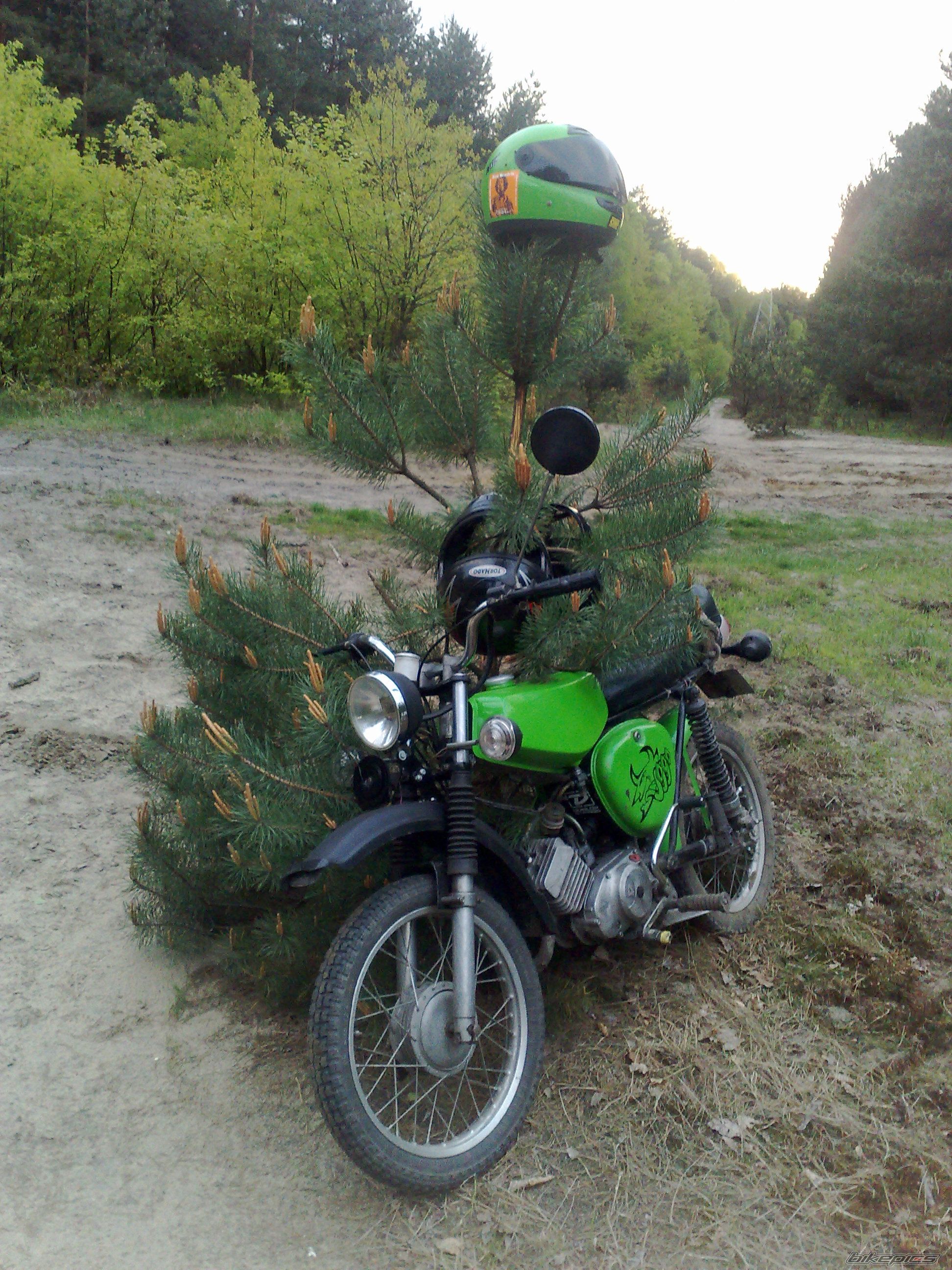 Photo 2372706
