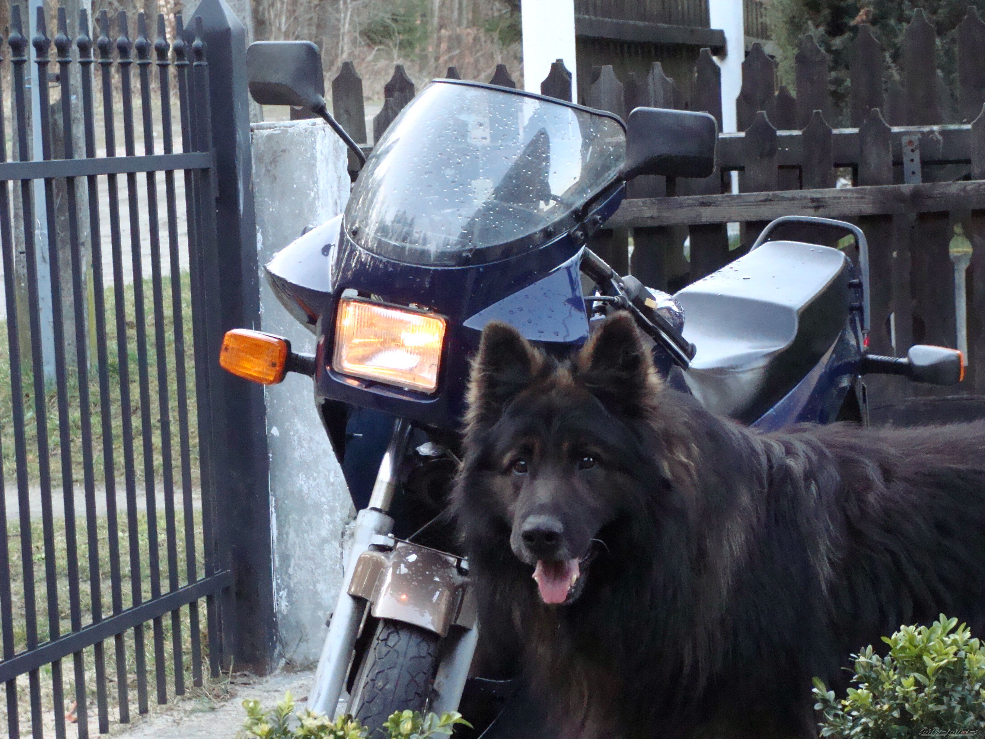 Photo 2372768