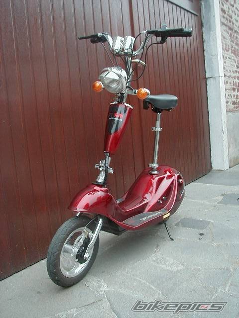 Photo 237279