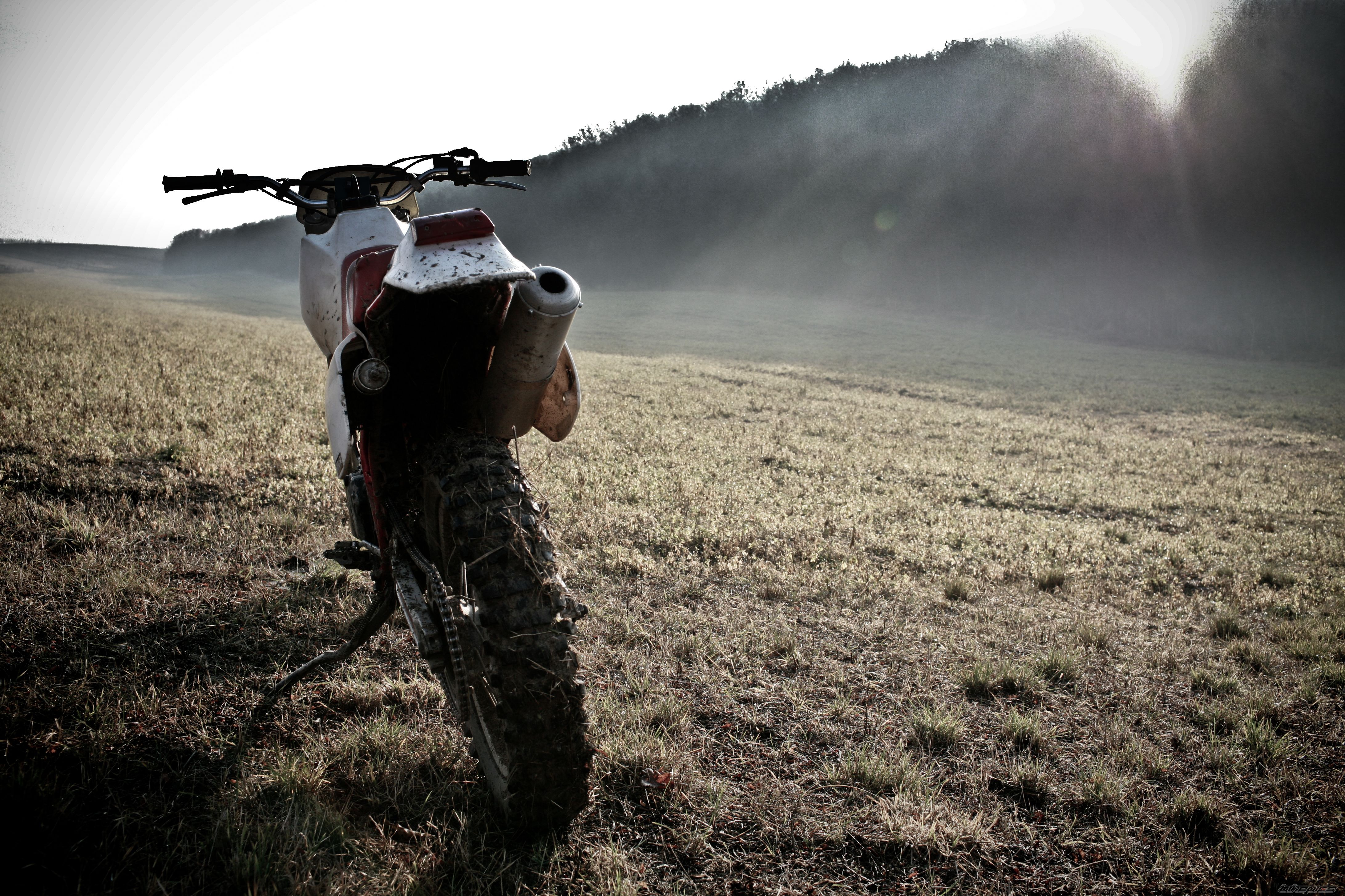 Photo 2372884