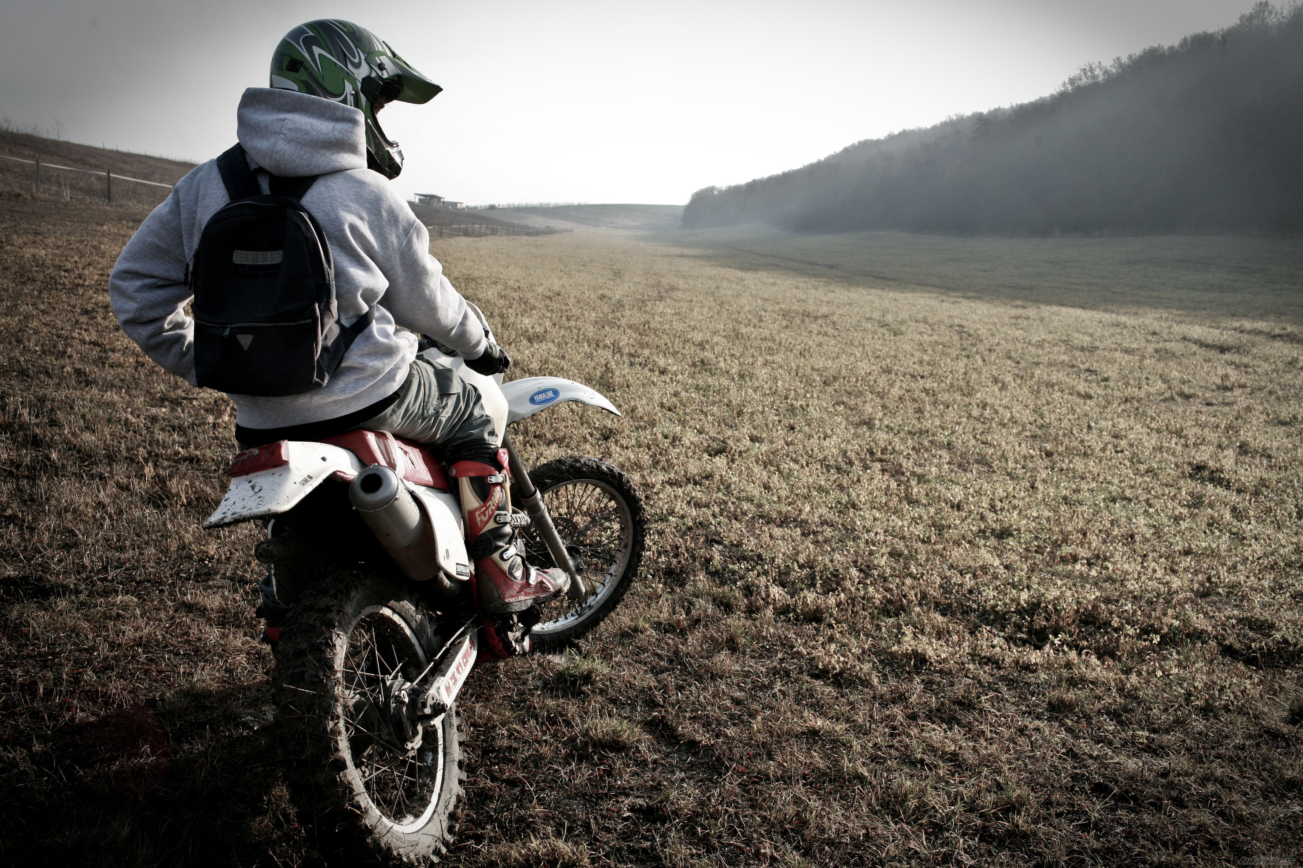 Photo 2372898