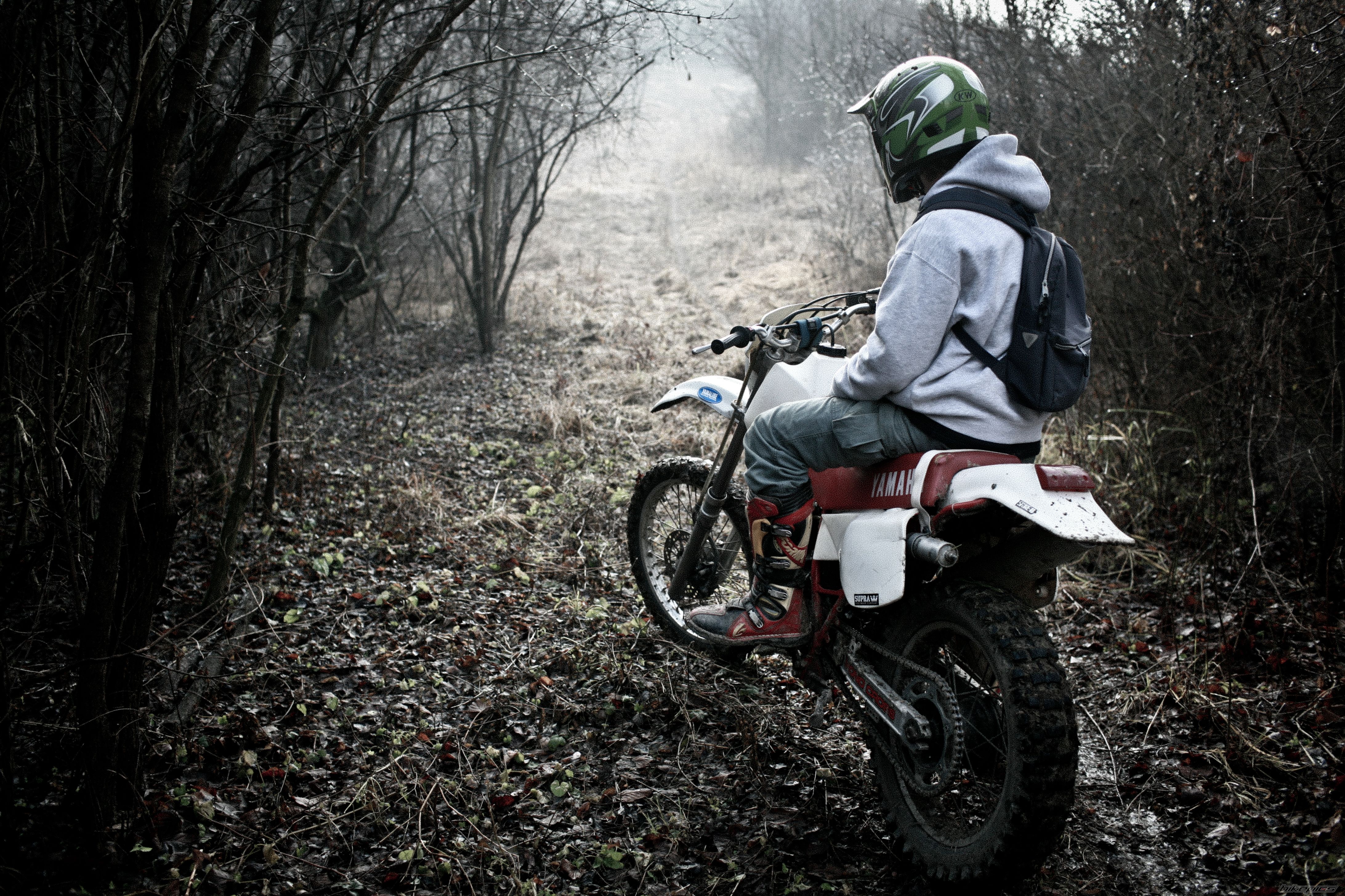 Photo 2372911