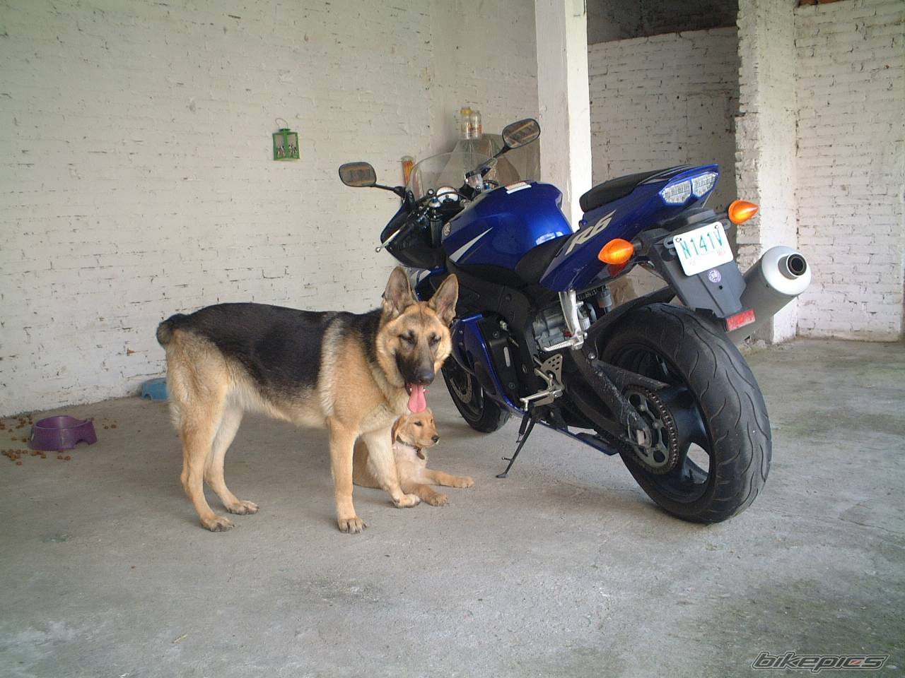 Bike Photo 237293