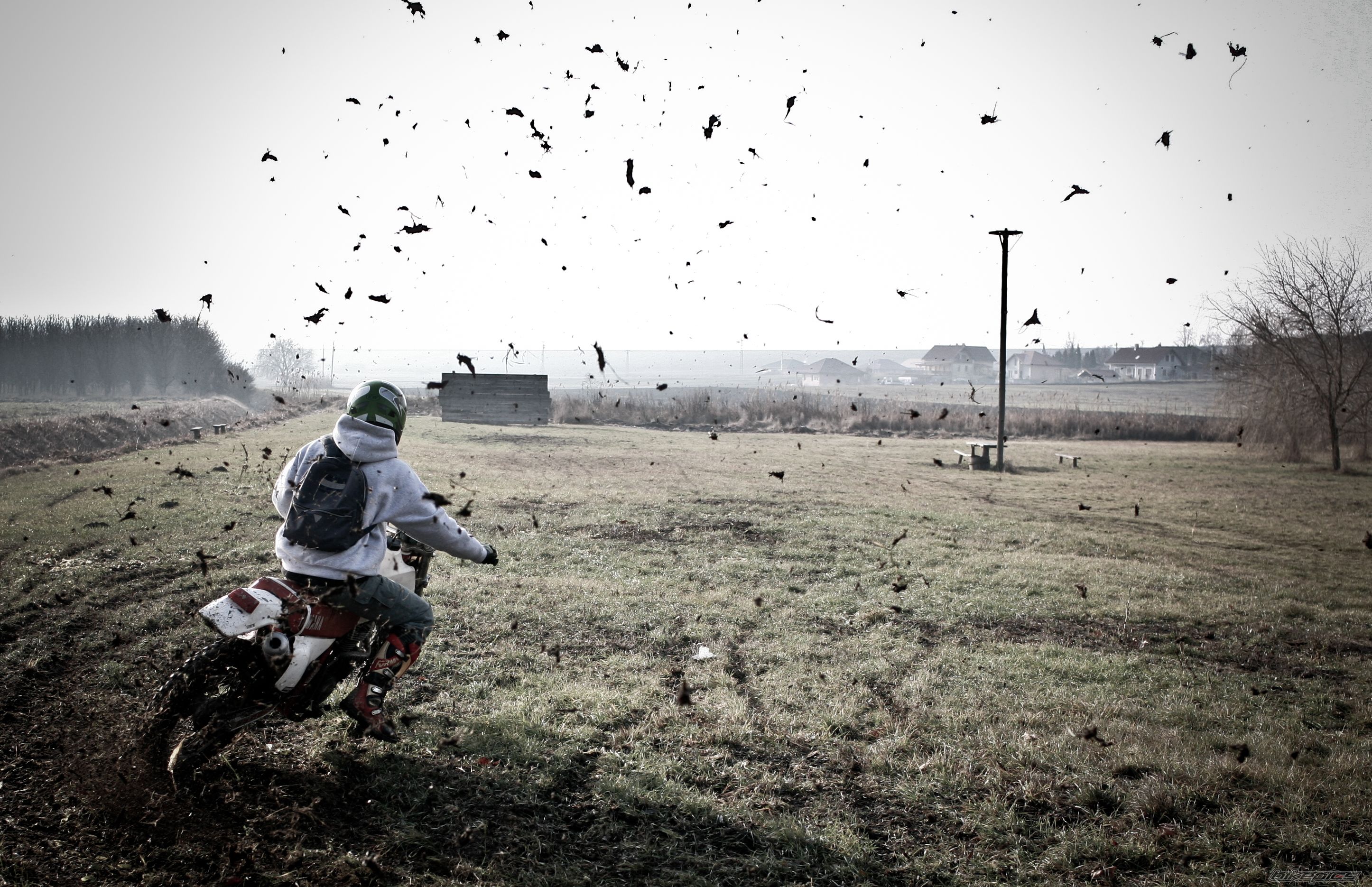 Bike Photo 2372947