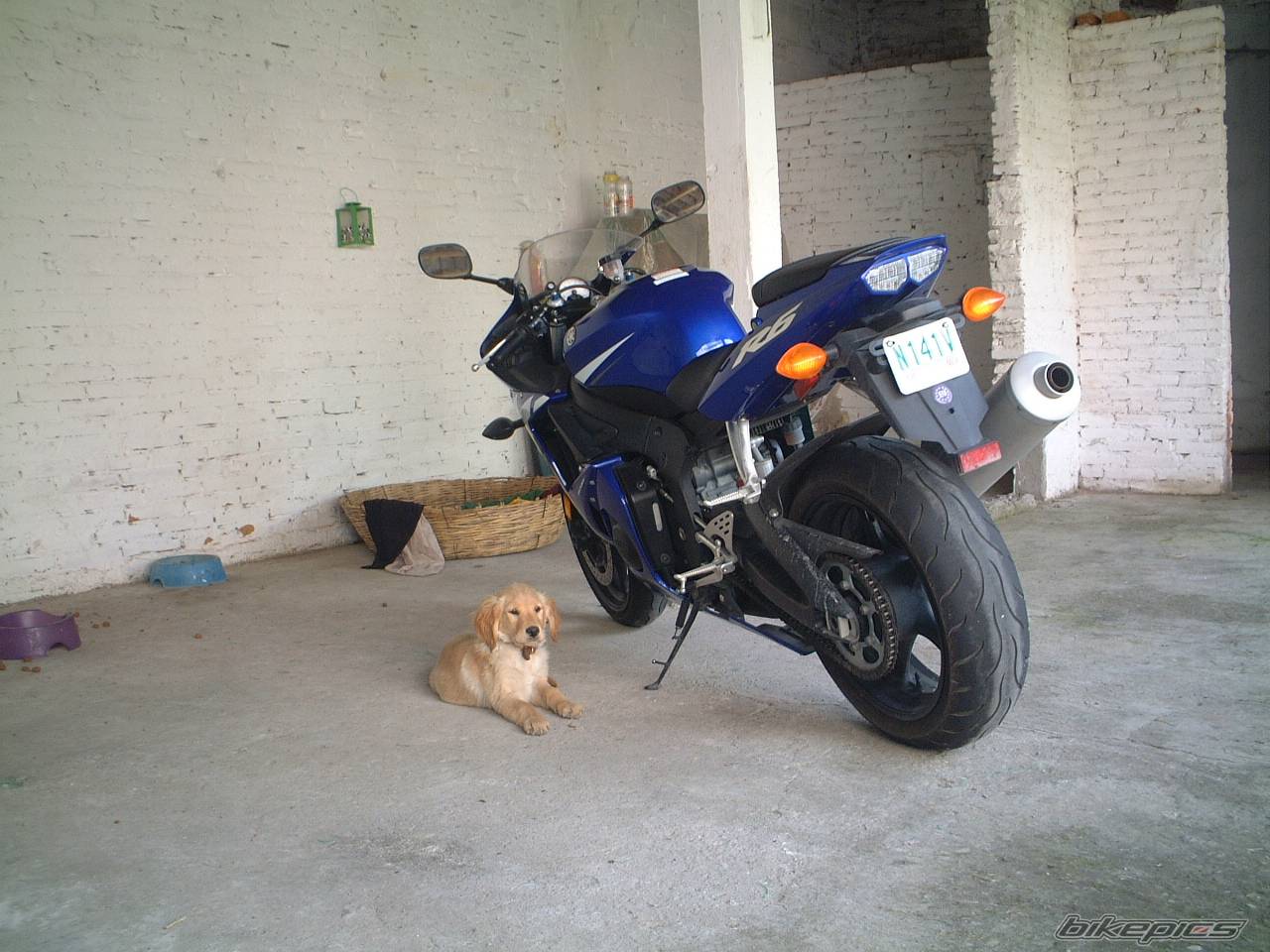 Bike Photo 237295