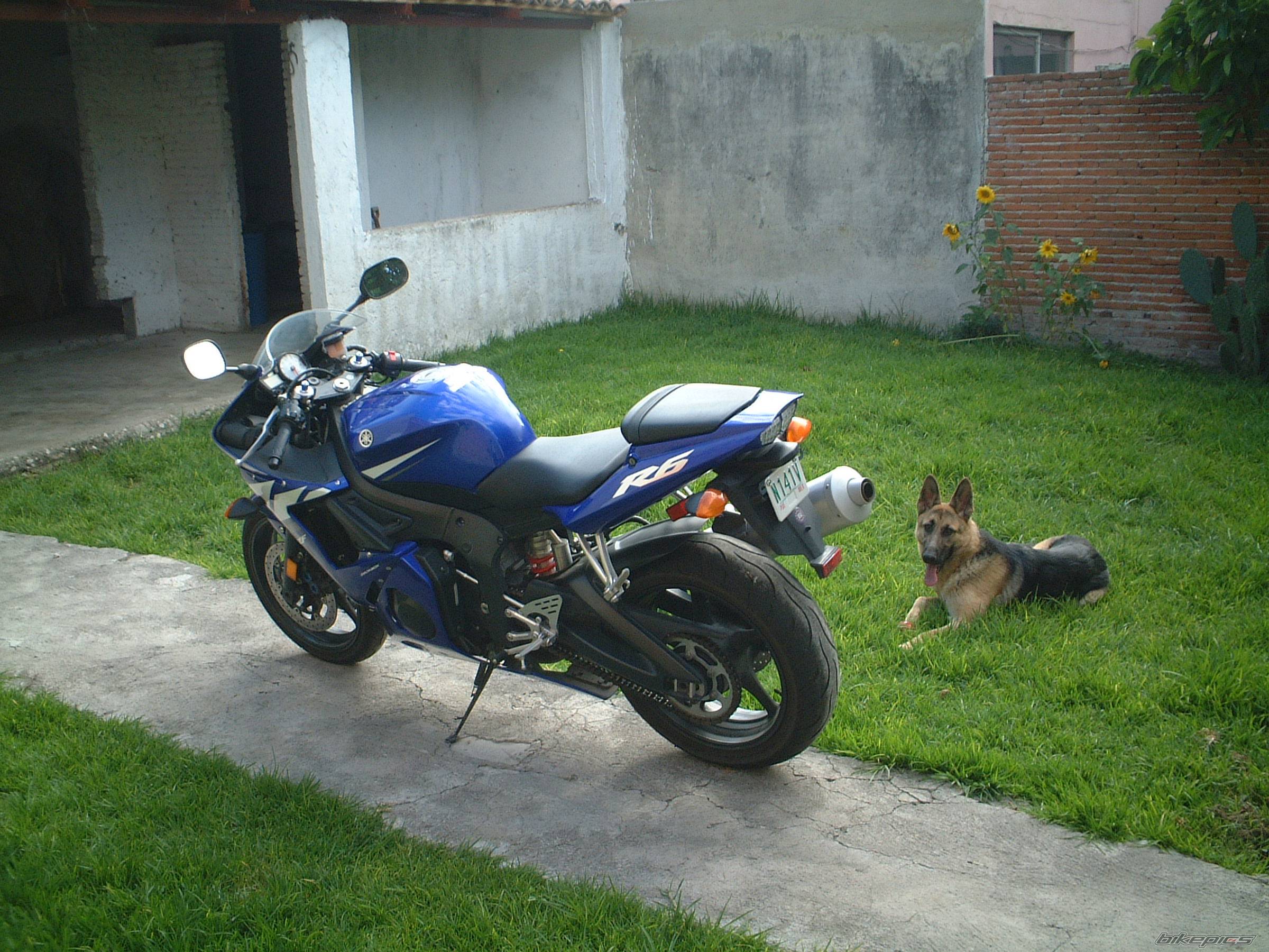 Bike Photo 237304
