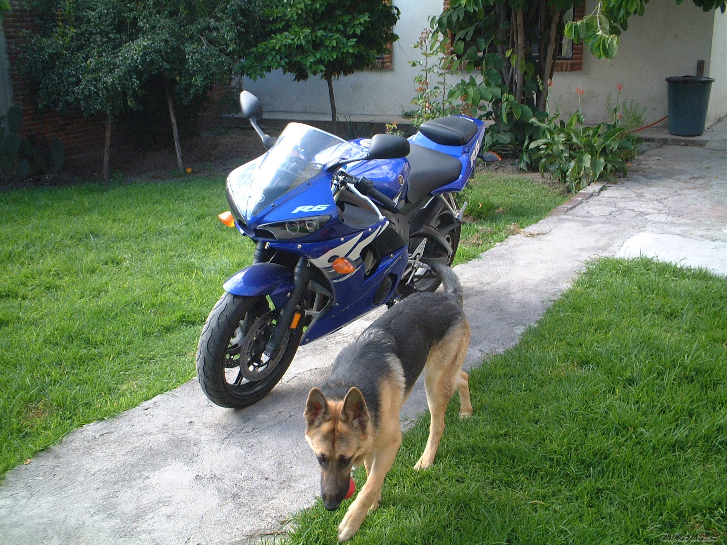 Bike Photo 237310