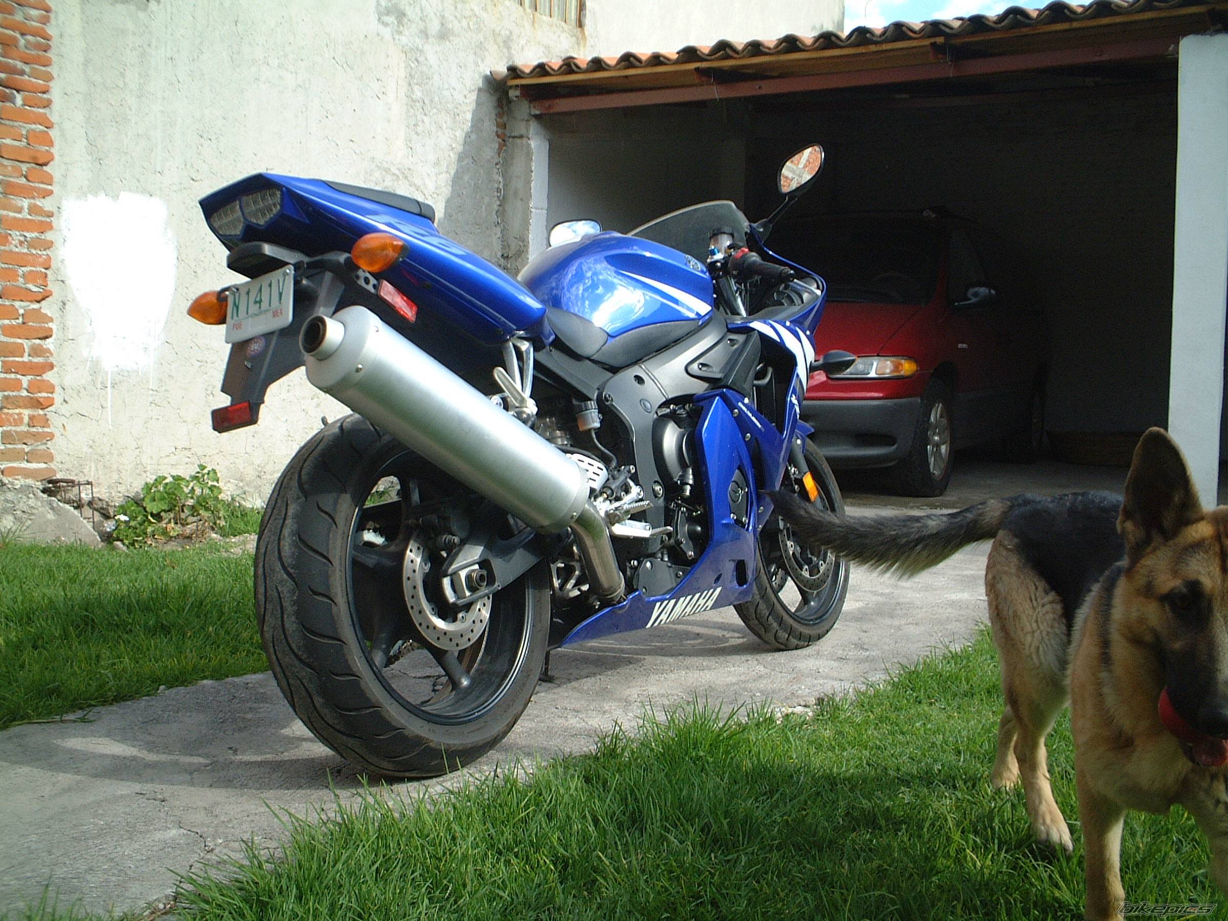 Bike Photo 237313