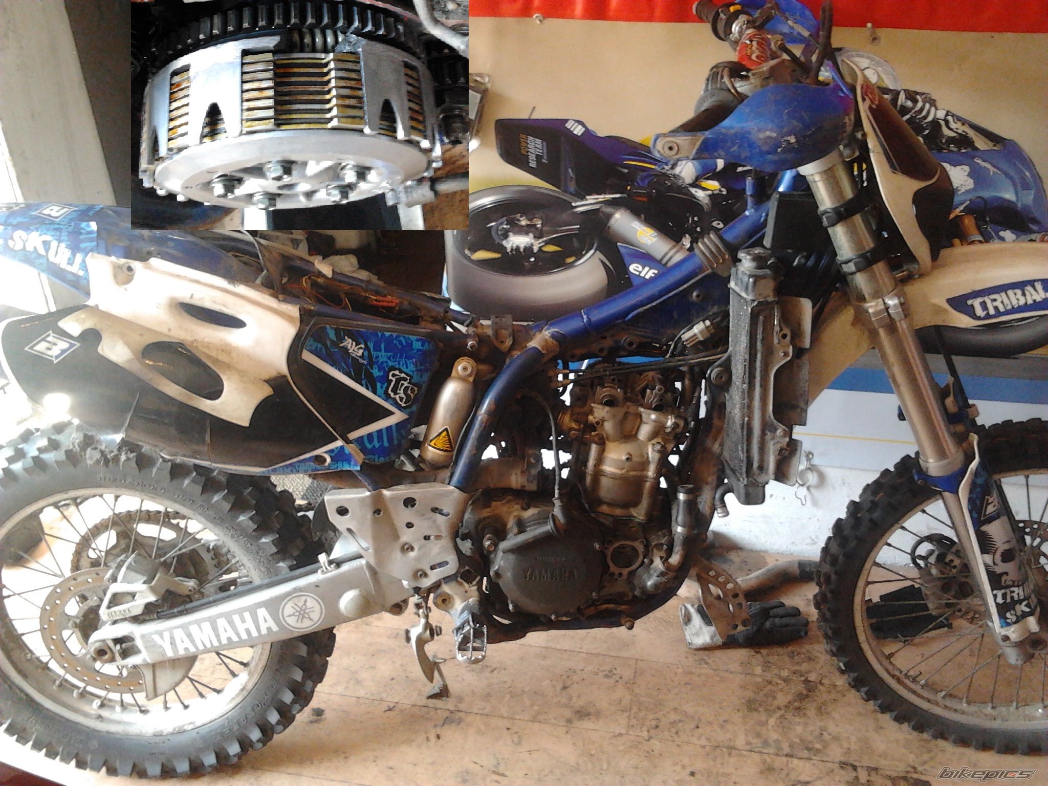 Photo 2373228