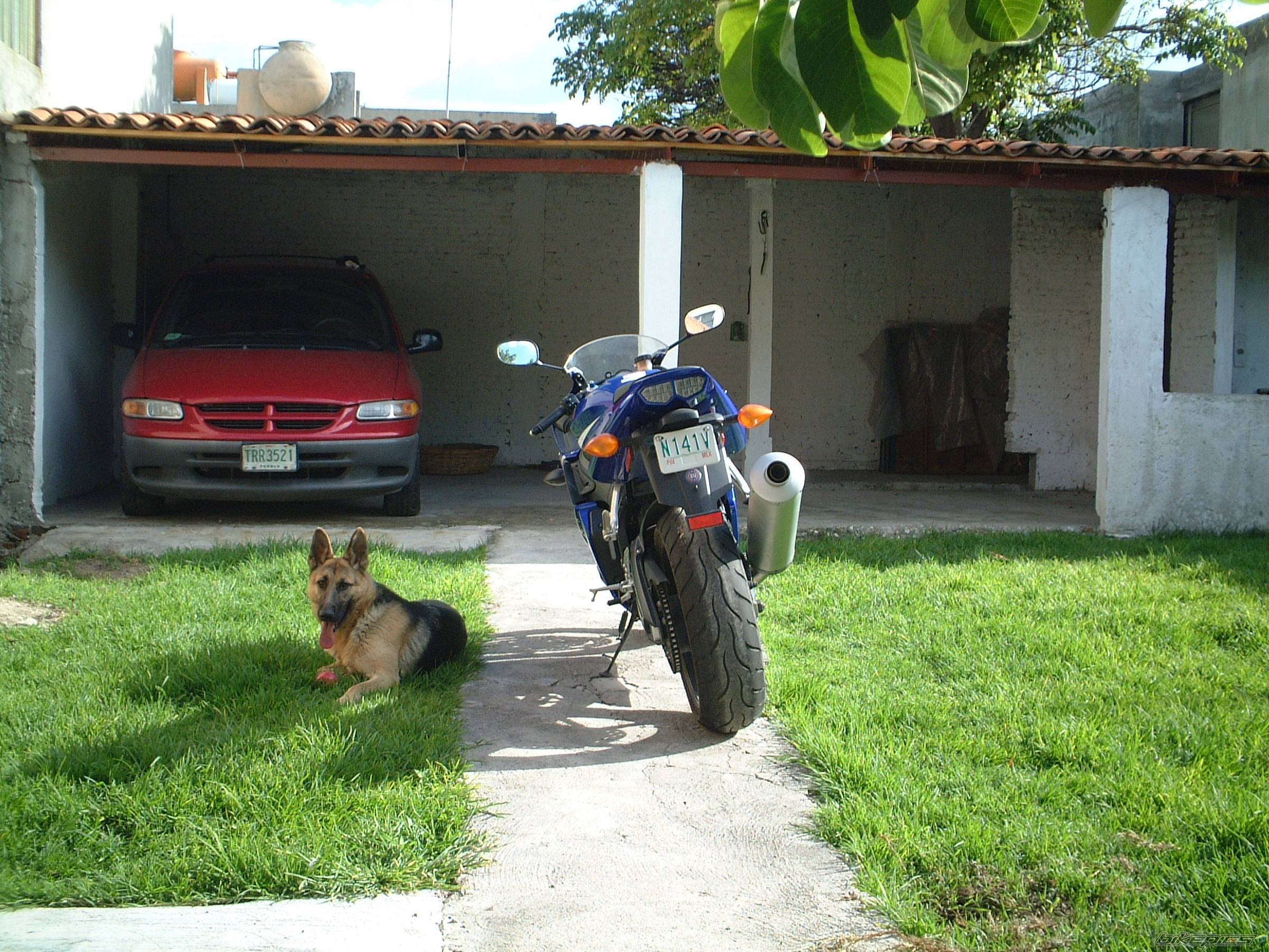 Bike Photo 237341