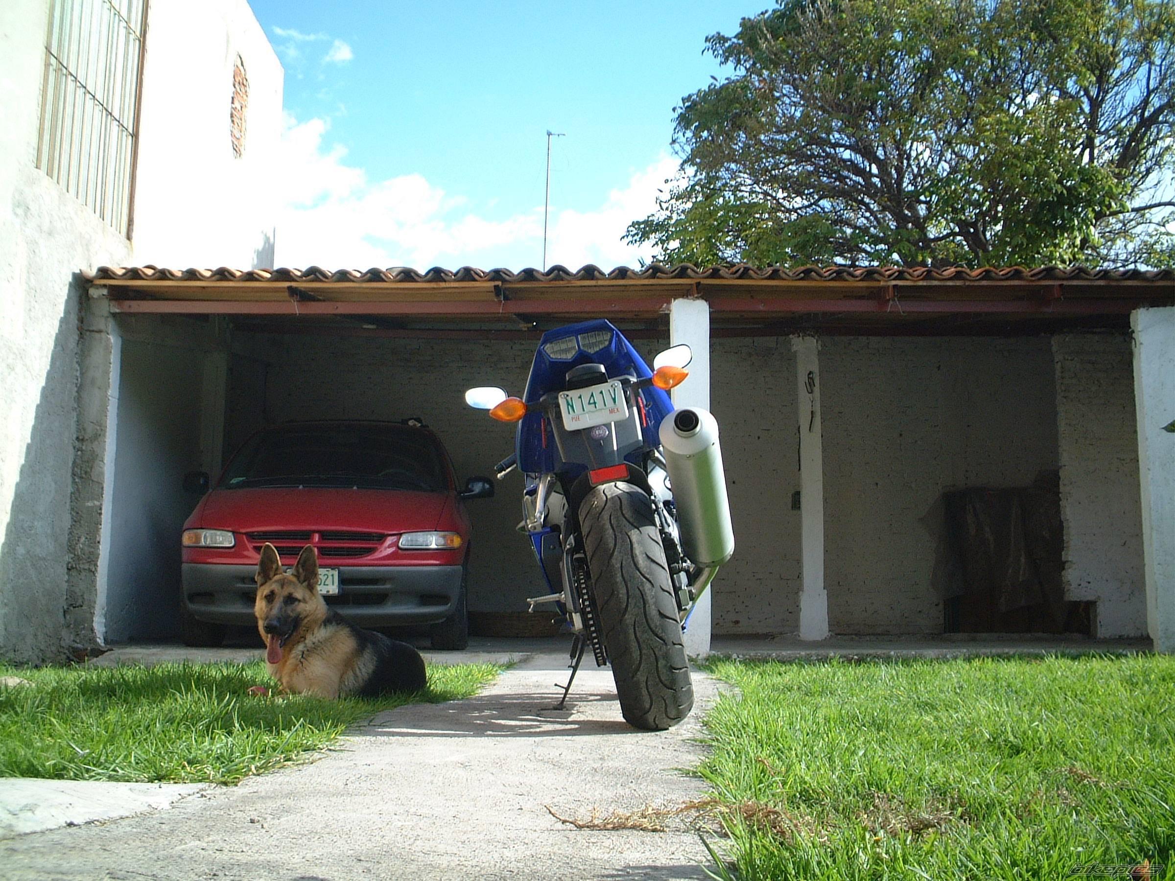 Bike Photo 237344
