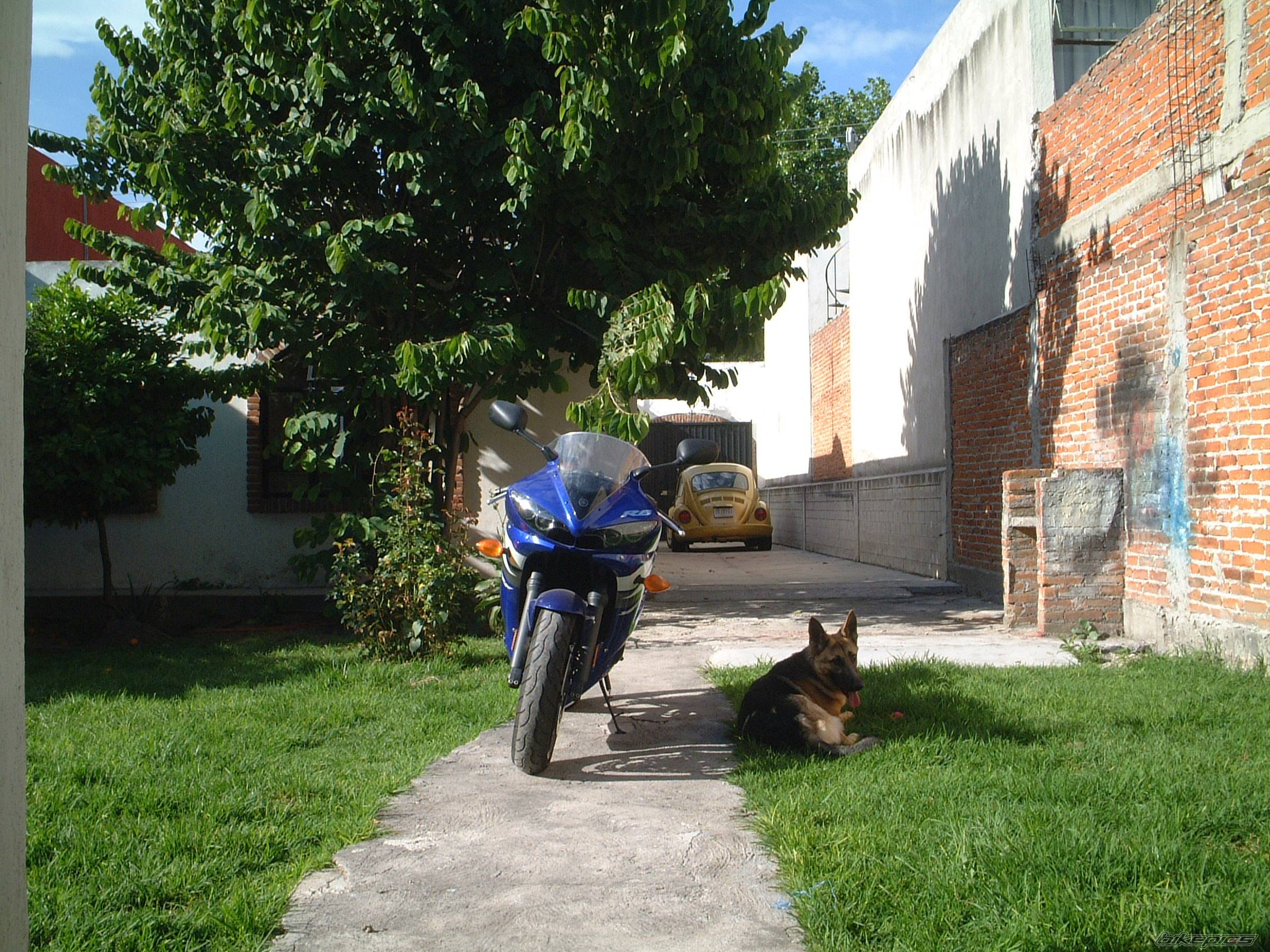 Bike Photo 237346