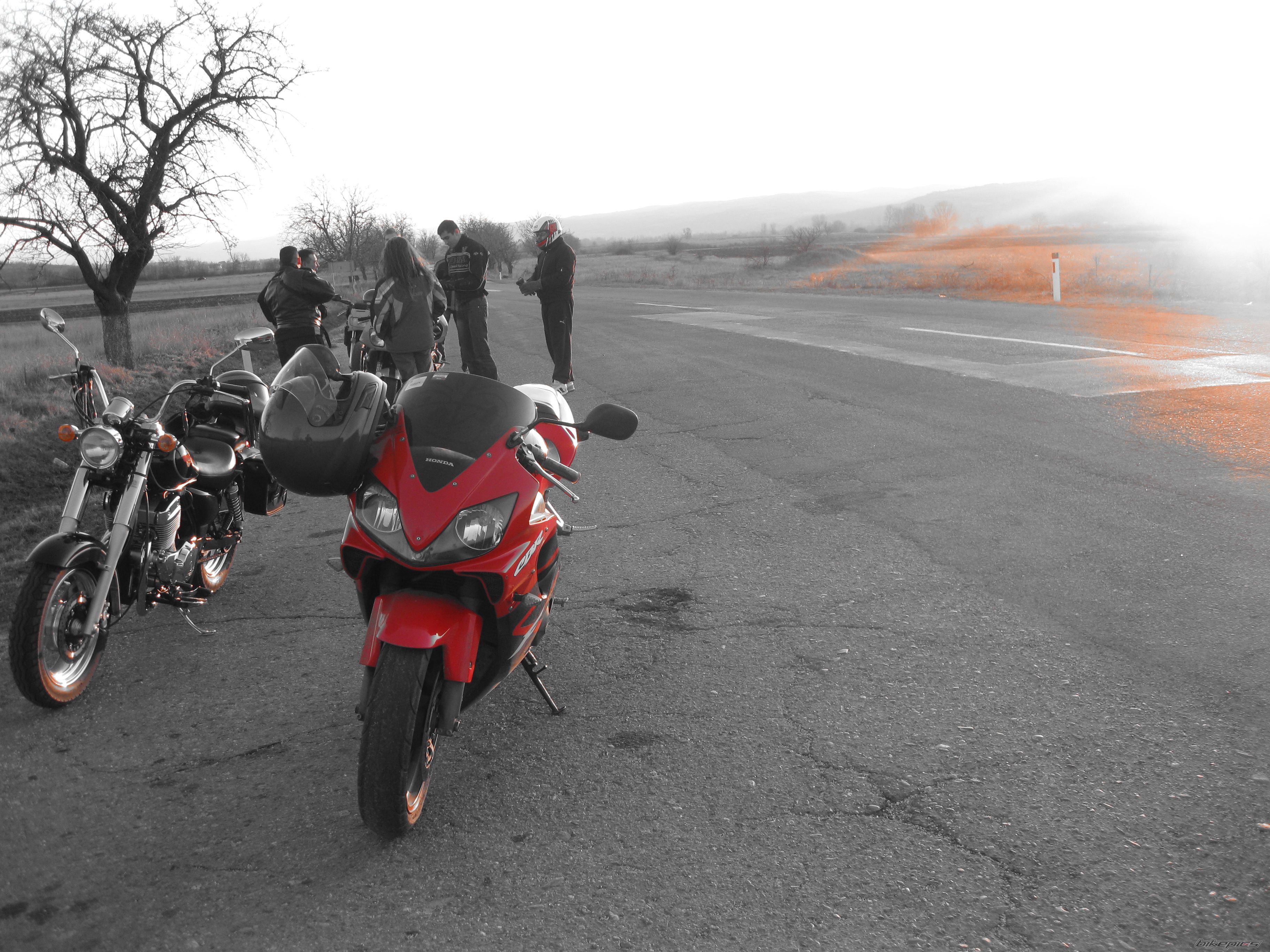 Photo 2373470
