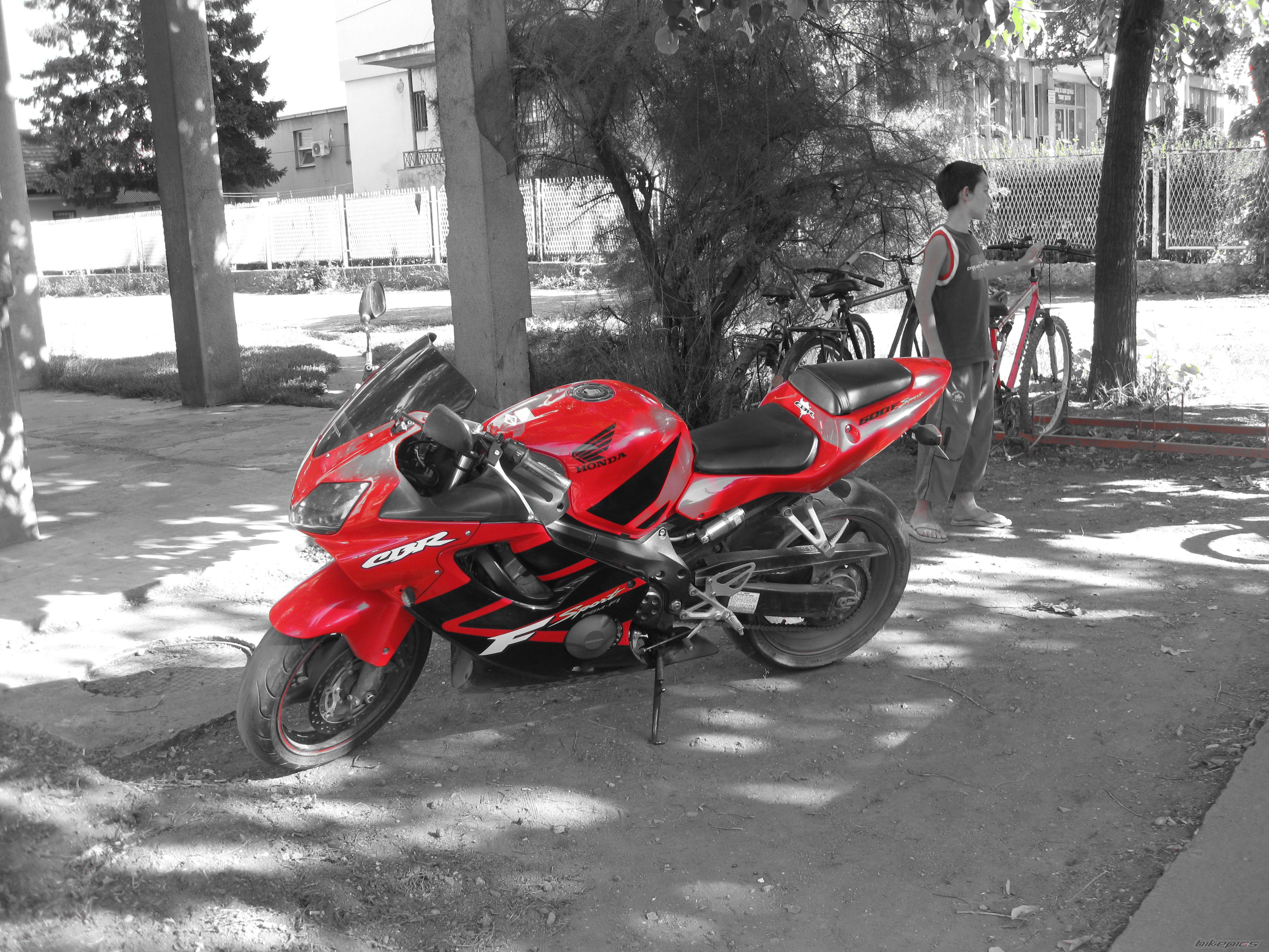 Photo 2373494