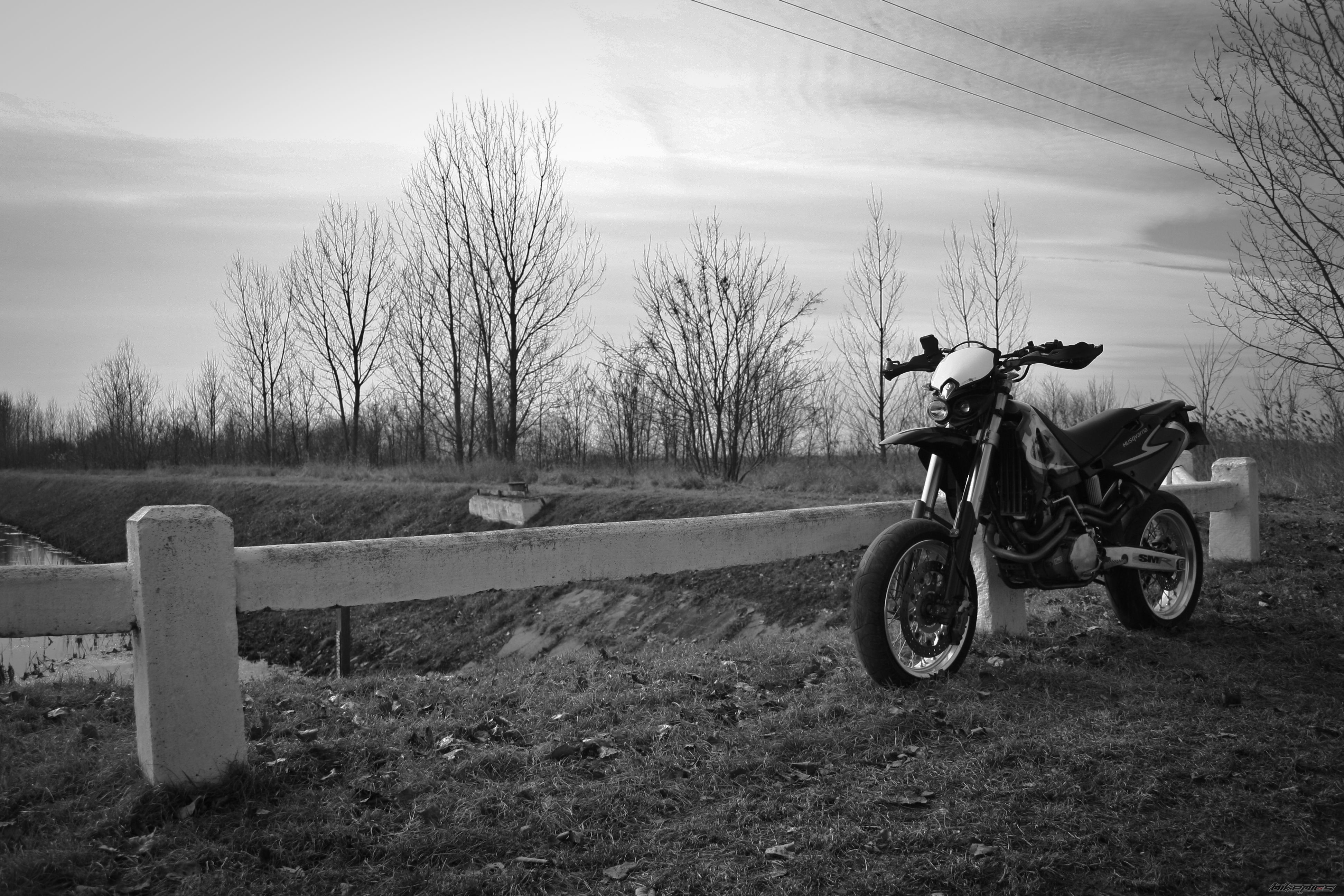 Photo 2373533
