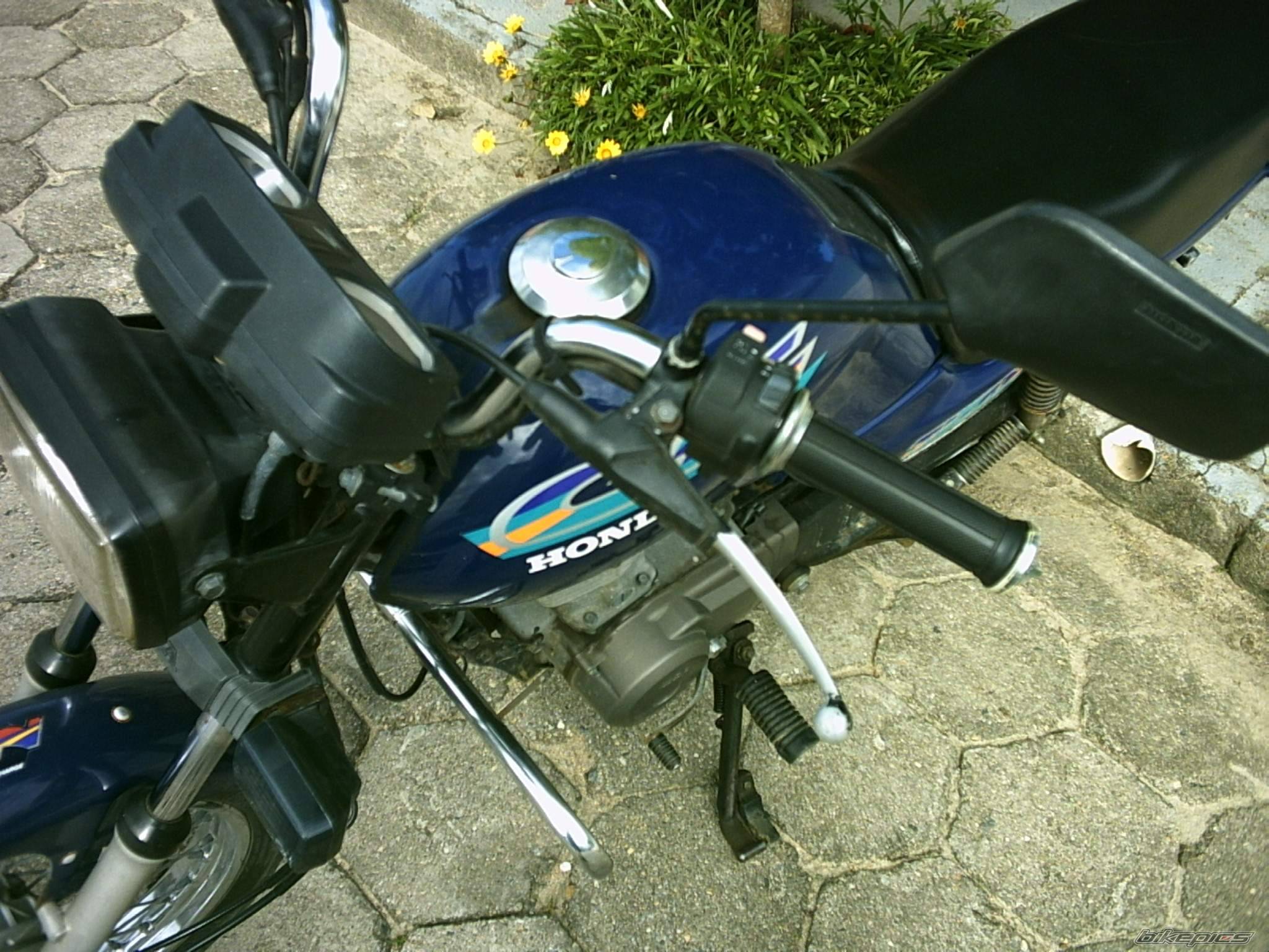Photo 237359