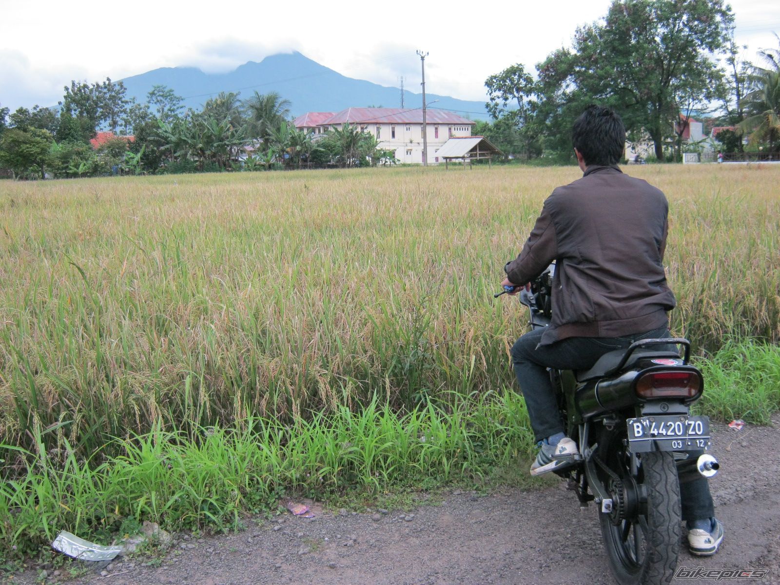 Photo 2373689