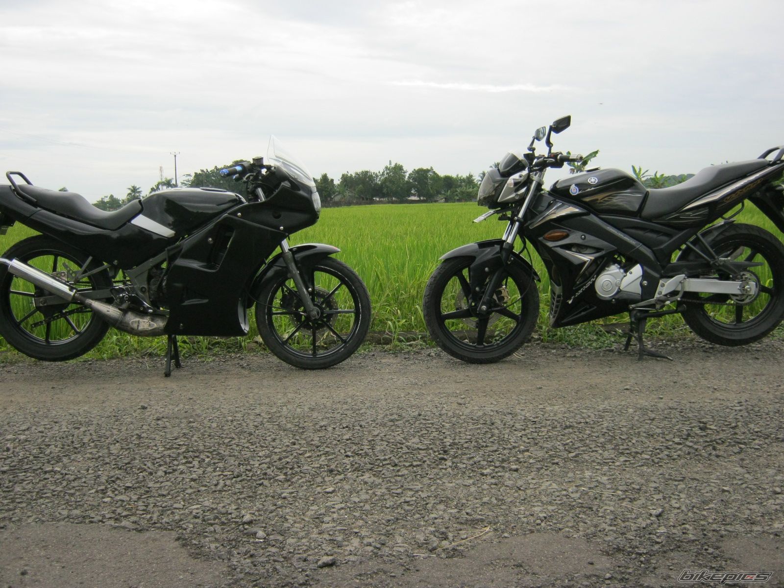 Photo 2373690