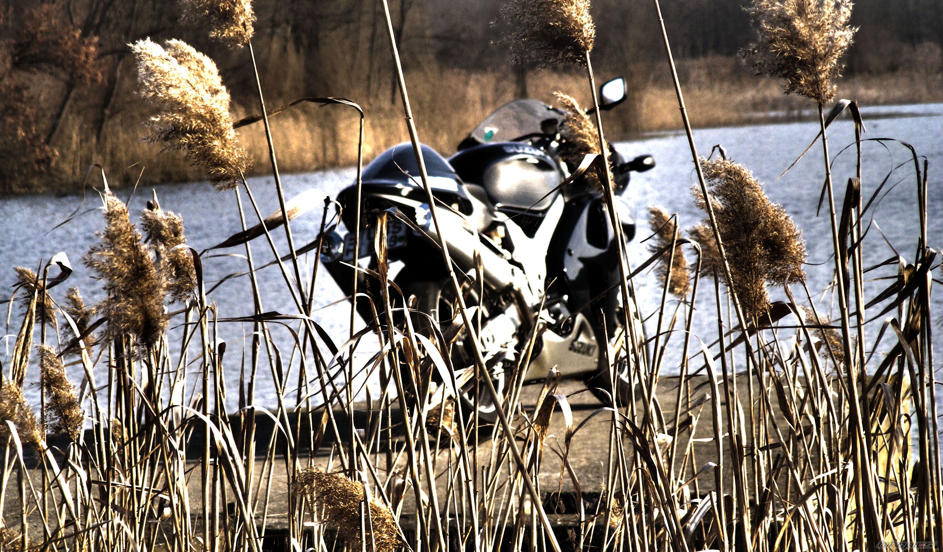 Photo 2373818